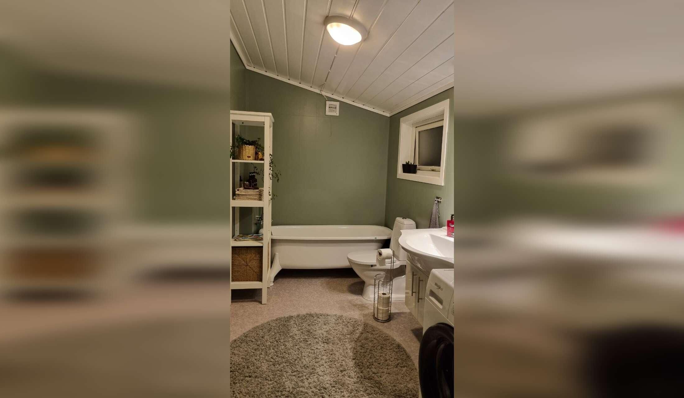 Hus og kattepasser i Arendal - Image 7