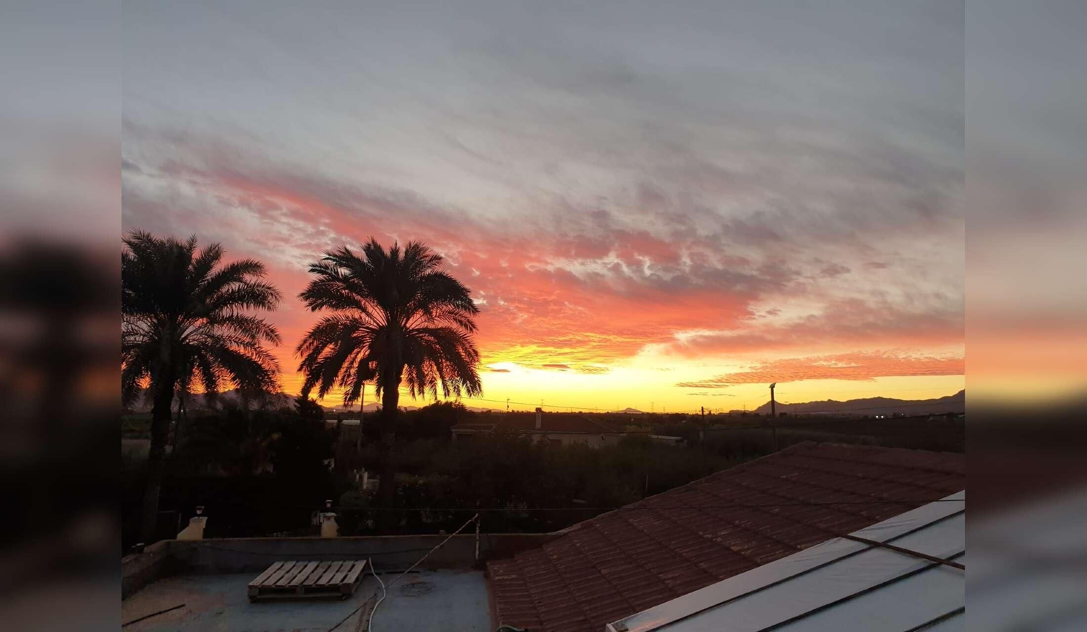 Ruhige Finca in Spanien sucht zuverlässige Housesitter - Image 2