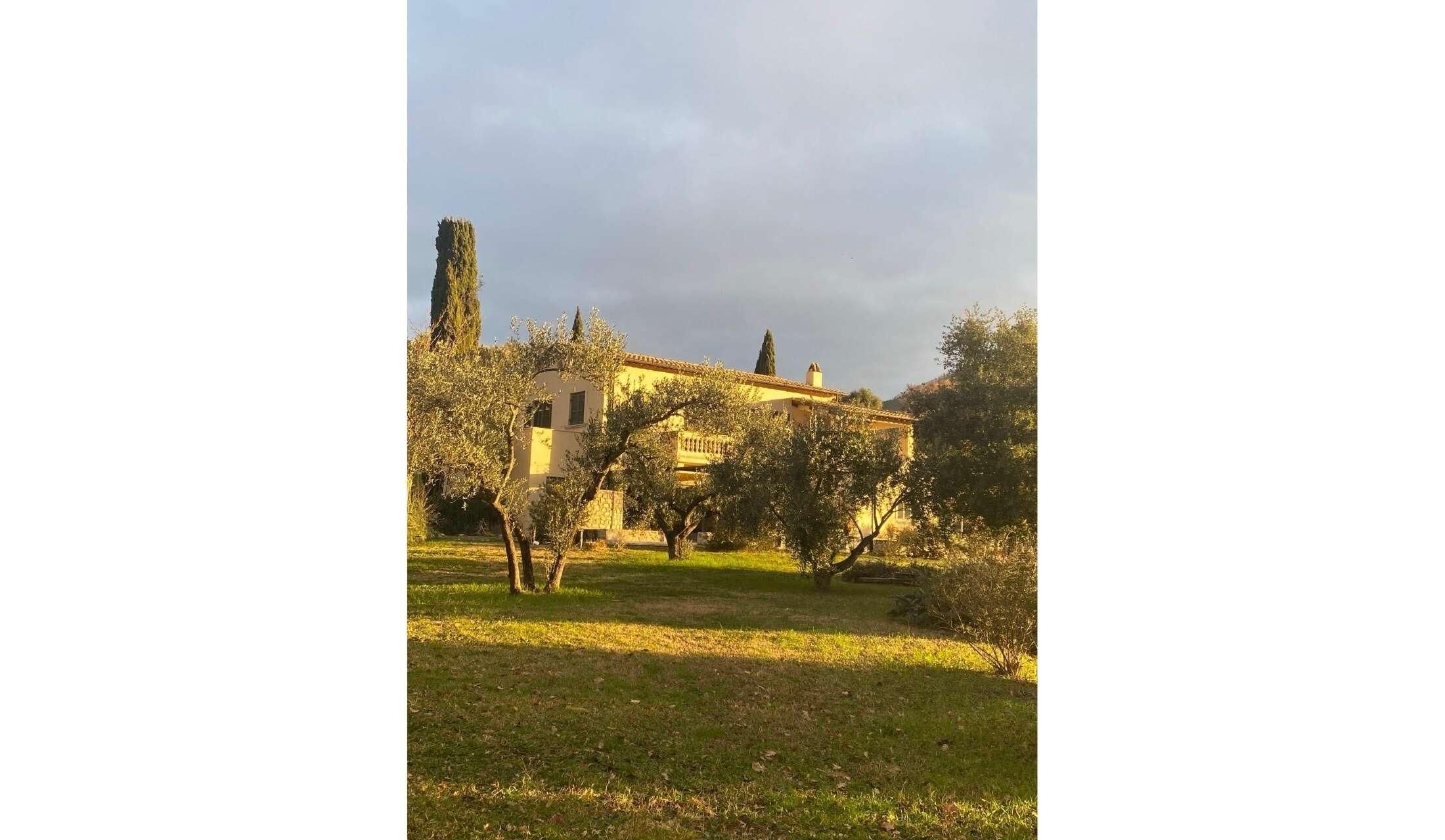 Villa in olive grove near Rome