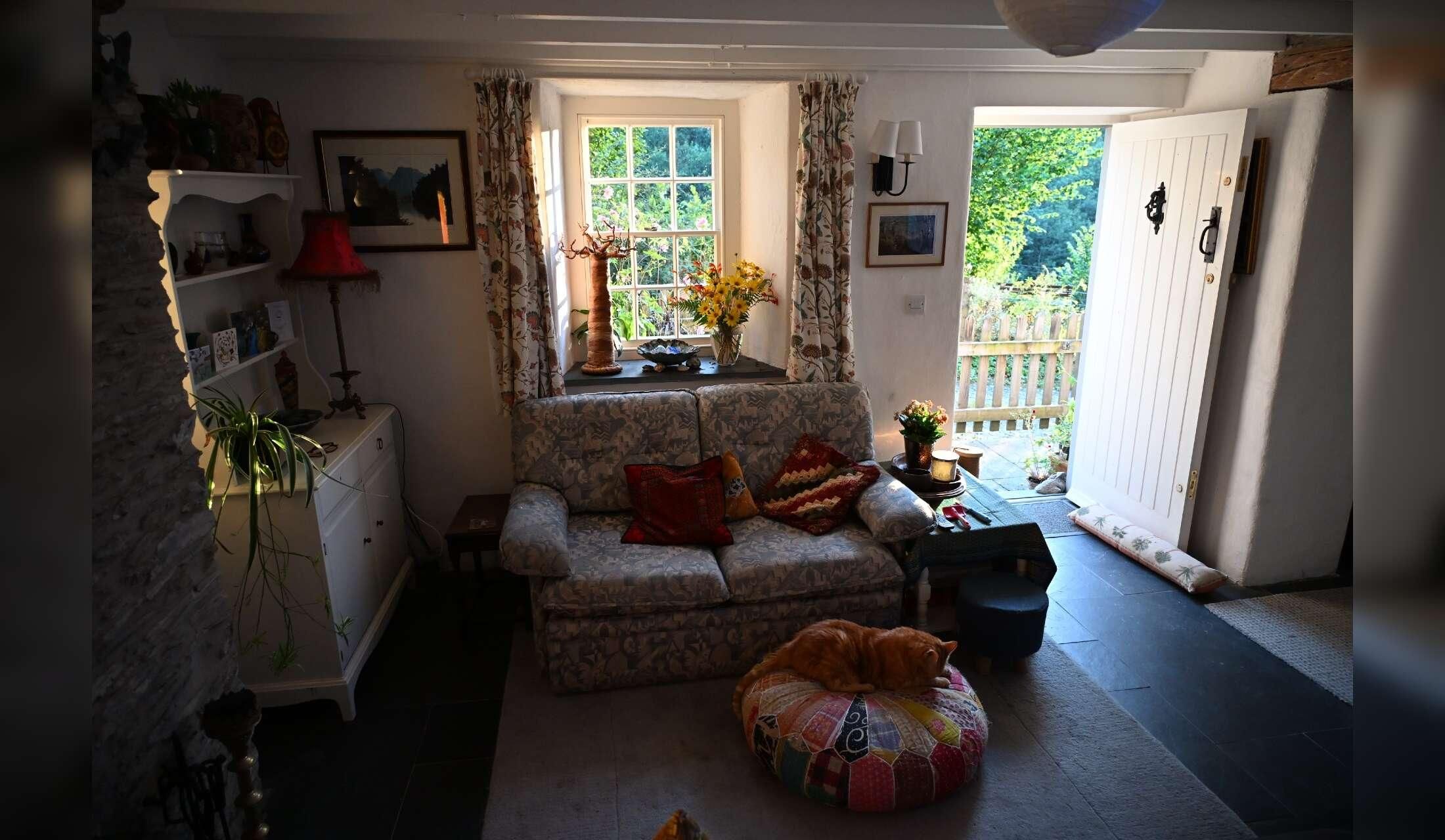 West Wales Cat and Cottage Sit - Image 3