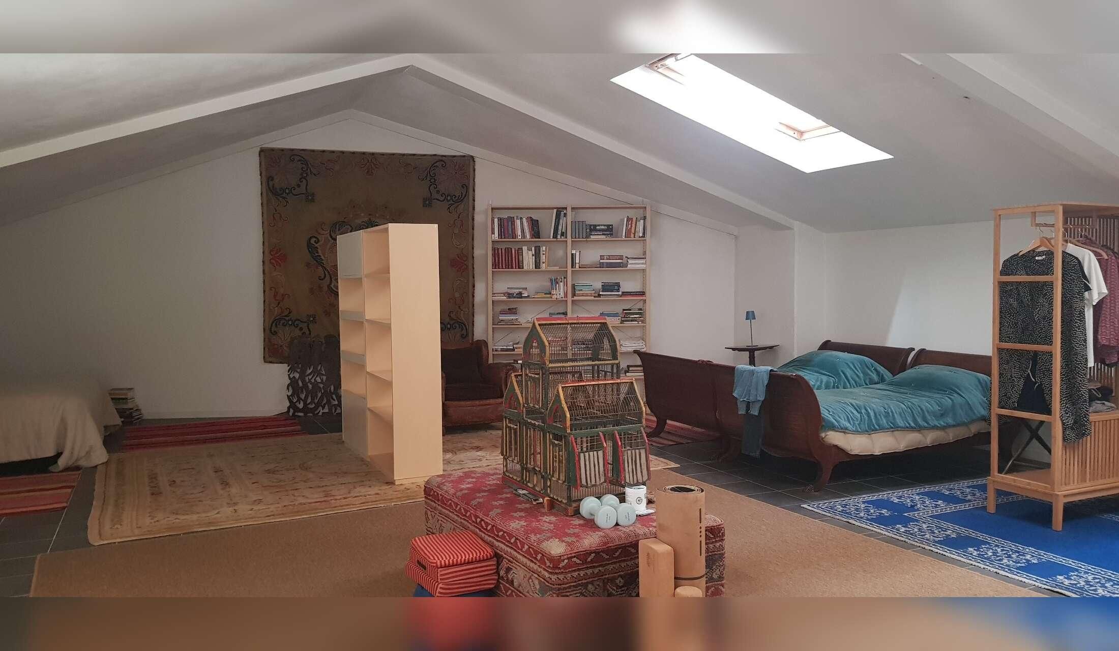Enjoy fabulous Lucca in Tuscany with two beautiful German shepherds, in a big apartment in front of its famous walls
