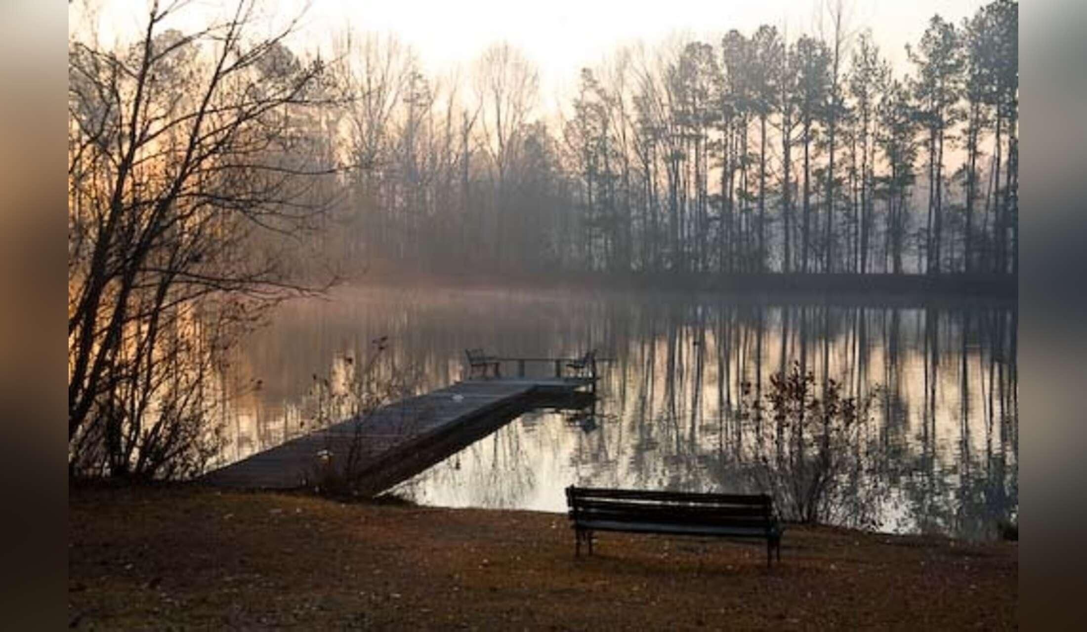 Sunny, spacious home on private acreage with 8-acre pond in rural South Carolina - Image 3