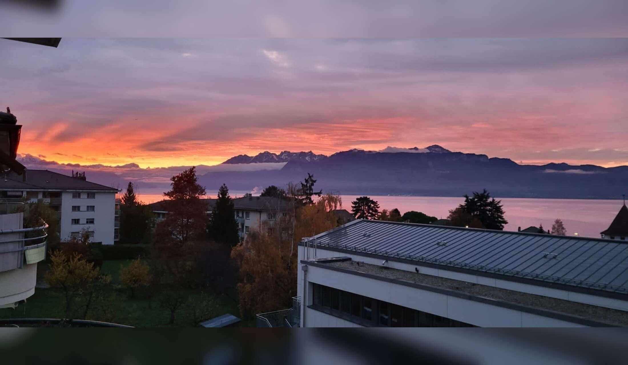 Cat lover - Stay near Lausanne, Switzerland