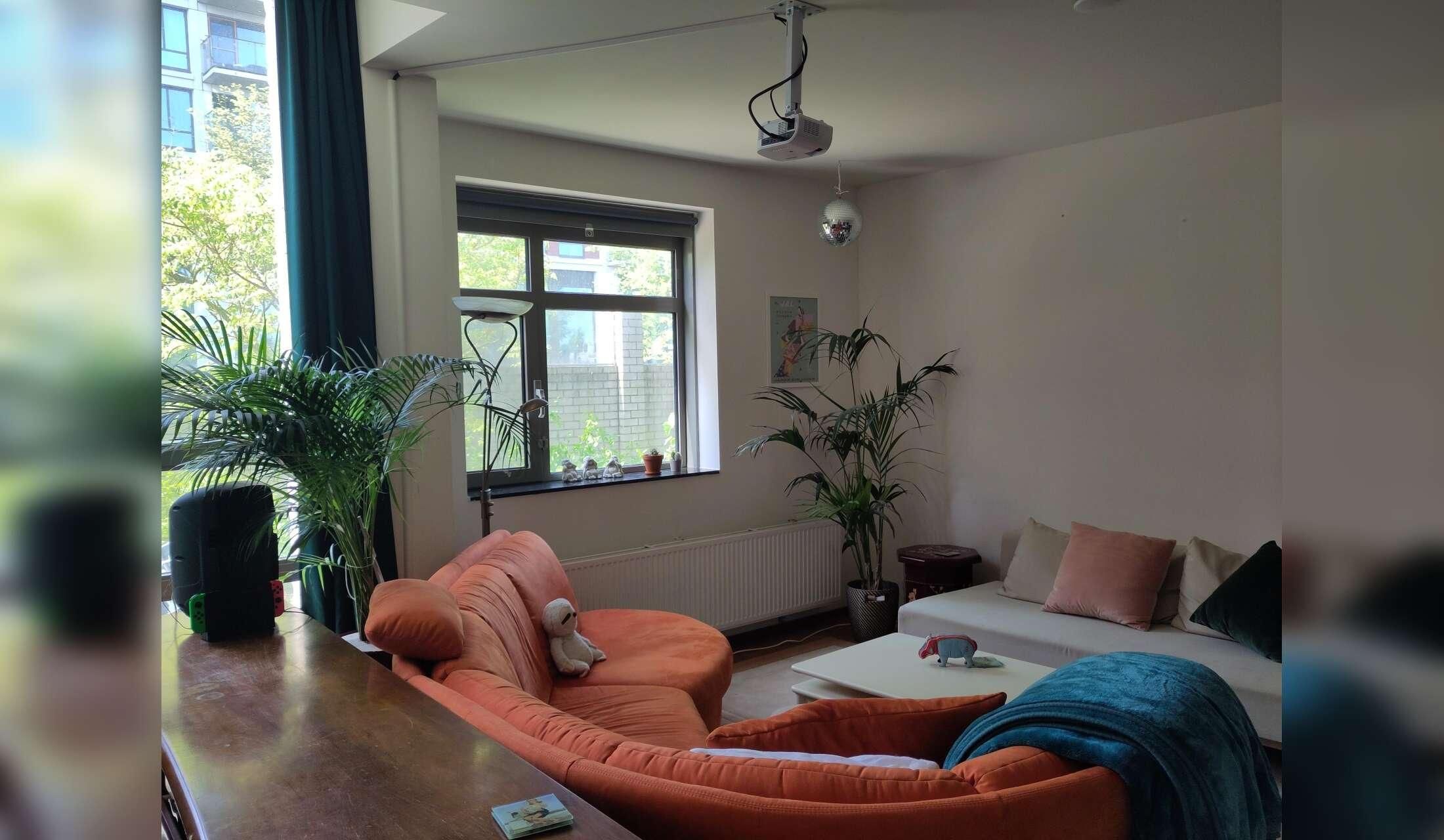 Cat/housesitting in Amsterdam Noord - Image 3