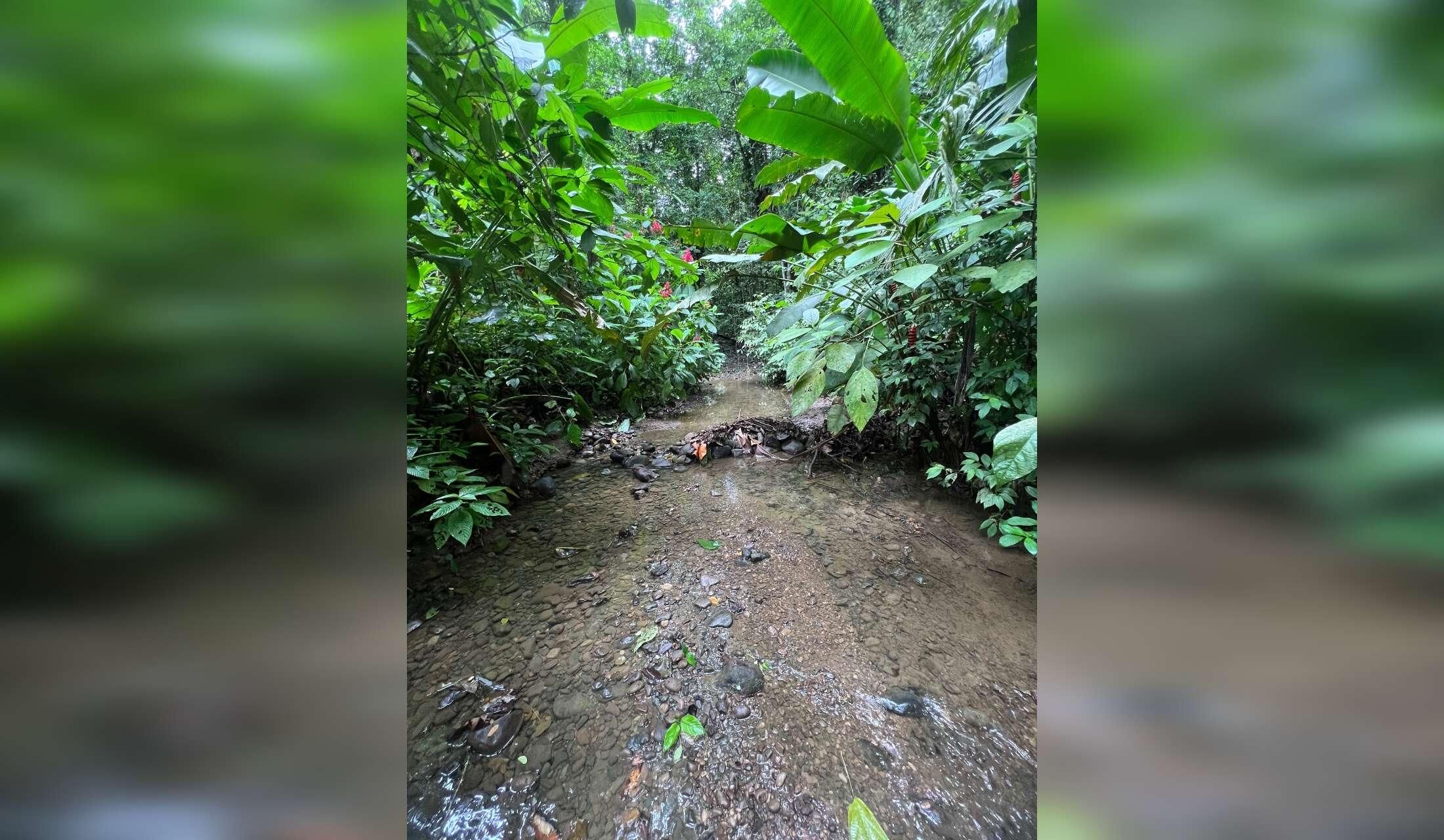 4 Monate in Costa Rica - Image 10