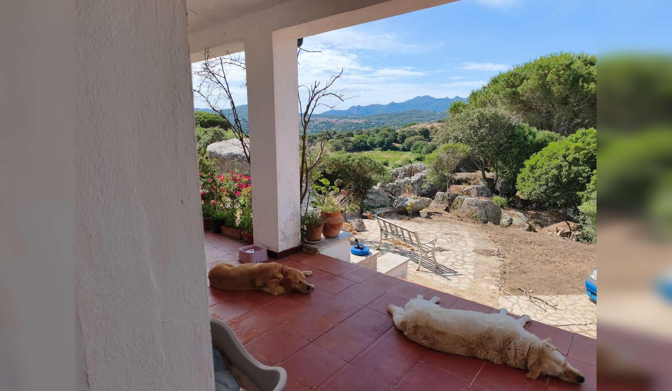 A country Italian house in Luras Sardegna, beautiful views, small vinyard, fruit trees etc. It is very close to the town of Luras, 30 minutes to Olbia, Arzachena and the Costa Smeralda it A great place to be to explore the Island..