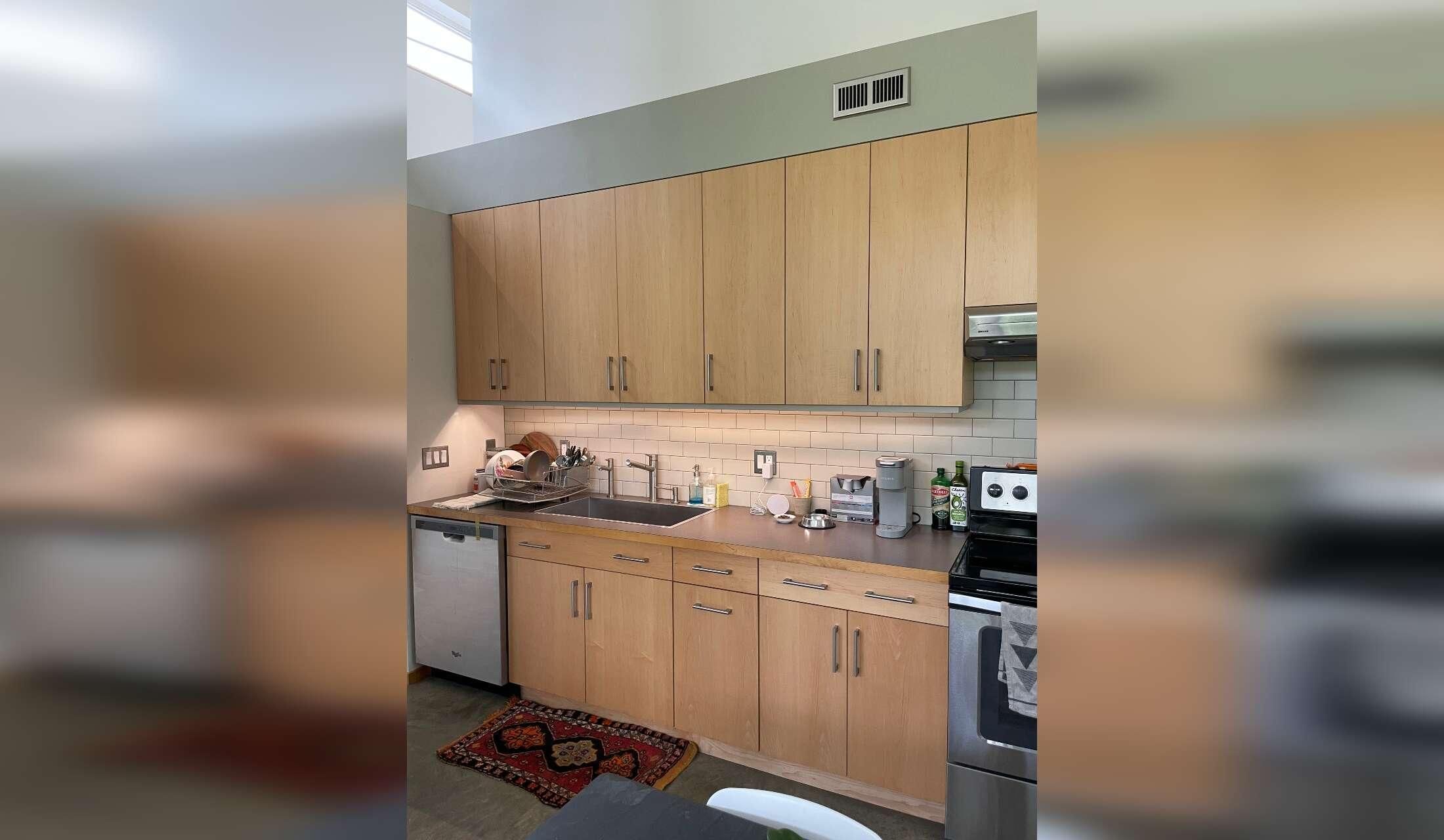Stay in Beautiful Ithaca, with a windhound, an Abyssinian kitten and rescue black cat.  One bedroom home, central air, private yard, & painting studio. 2 week stay - Image 5