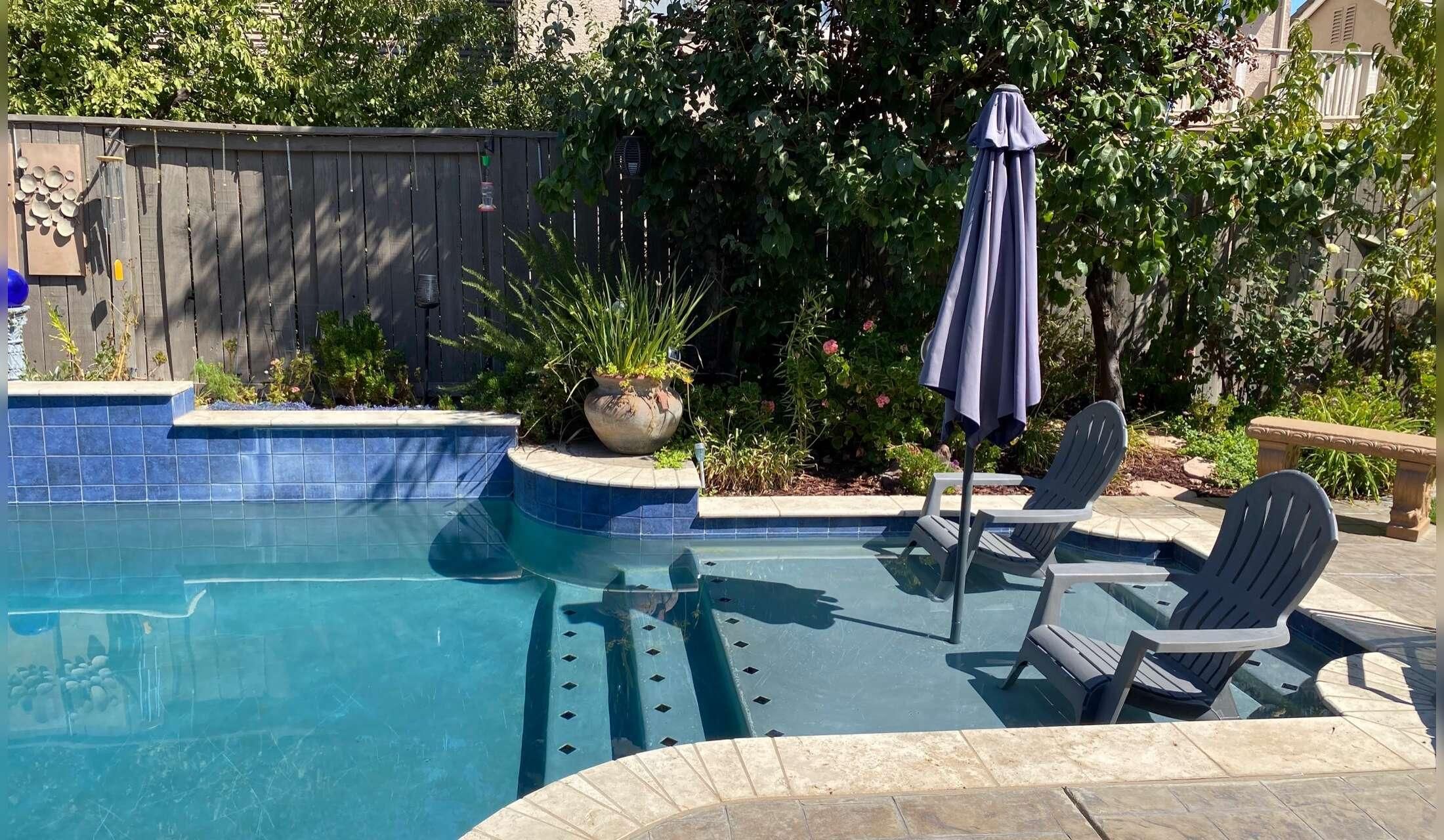 Short Local House sit -Sacramento Area -October - Image 4
