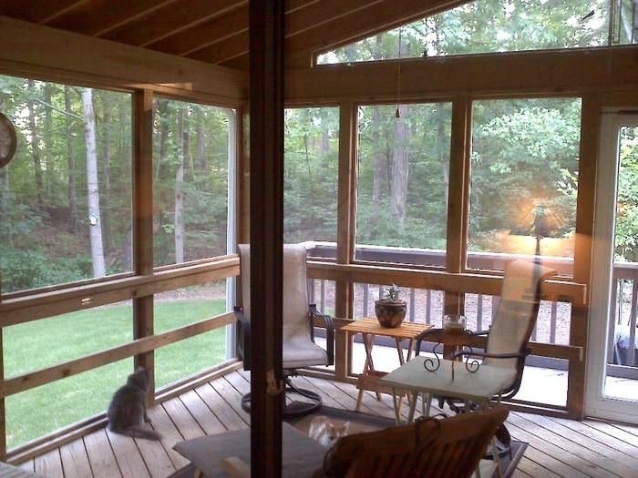 Cat lovers needed to care for contemporary home nestled in wooded neighborhood (lots of privacy, yet close to Durham/Raleigh/Chapel Hill, North Carolina, USA) - Image 2