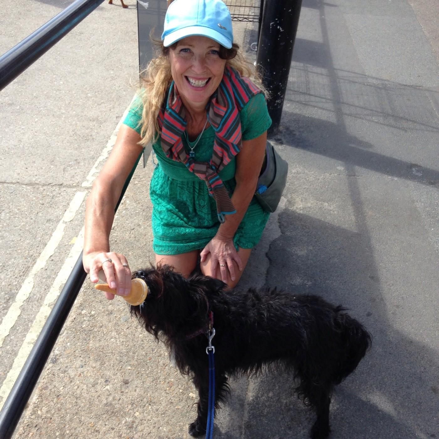 Dog lover for house sit in Dorset, UK