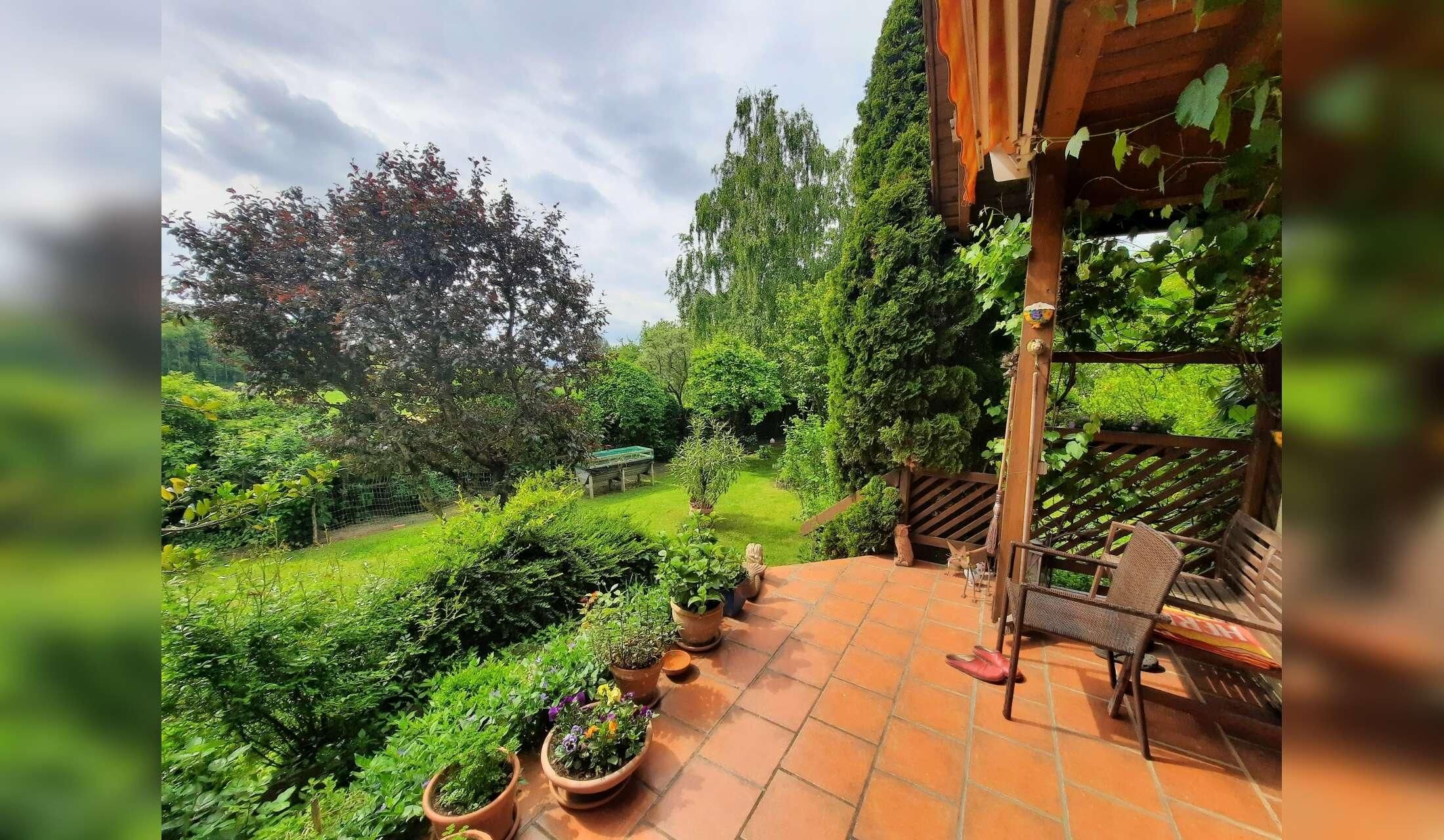 Housesitting 2 cats and 5 chicken in a village near Vienna, Austria 19. October - 3.November 2026 - Image 4