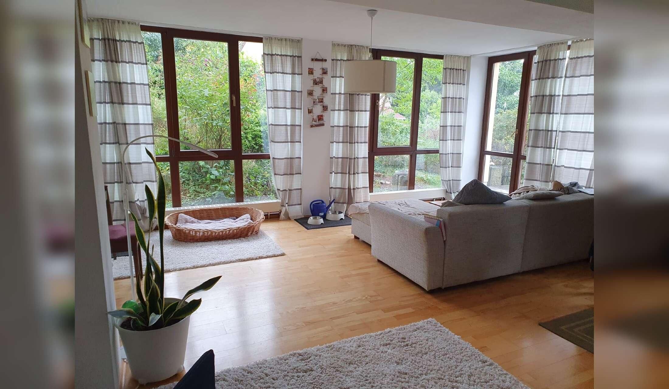 Peaceful house sit with our lovely dog Runa near Dresden / Germany - Image 7