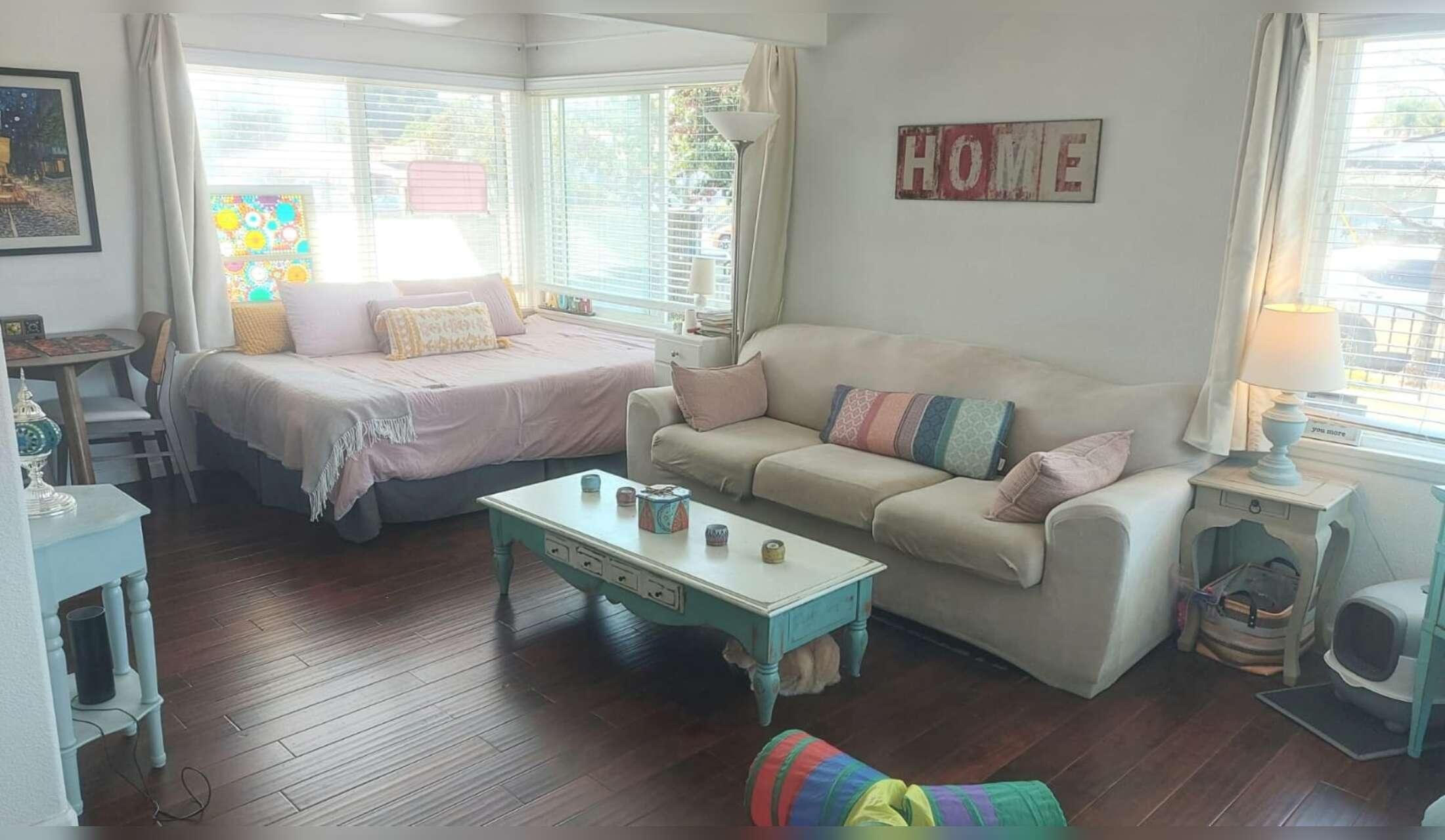 San Diego opportunity - 2 beautiful, easy kitties in bright, beautiful studio apt in convenient, walkable downtown Chula Vista - Image 3