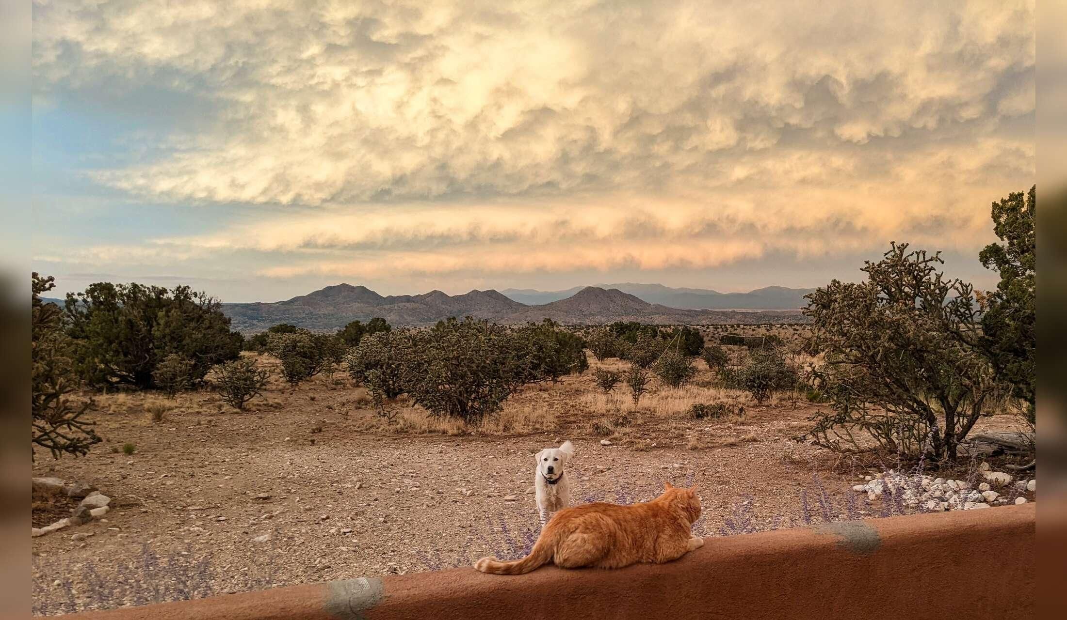 Off-Grid Awesome near Santa Fe & Albuquerque, NM!  Relax in the Land of Enchantment! - Image 8