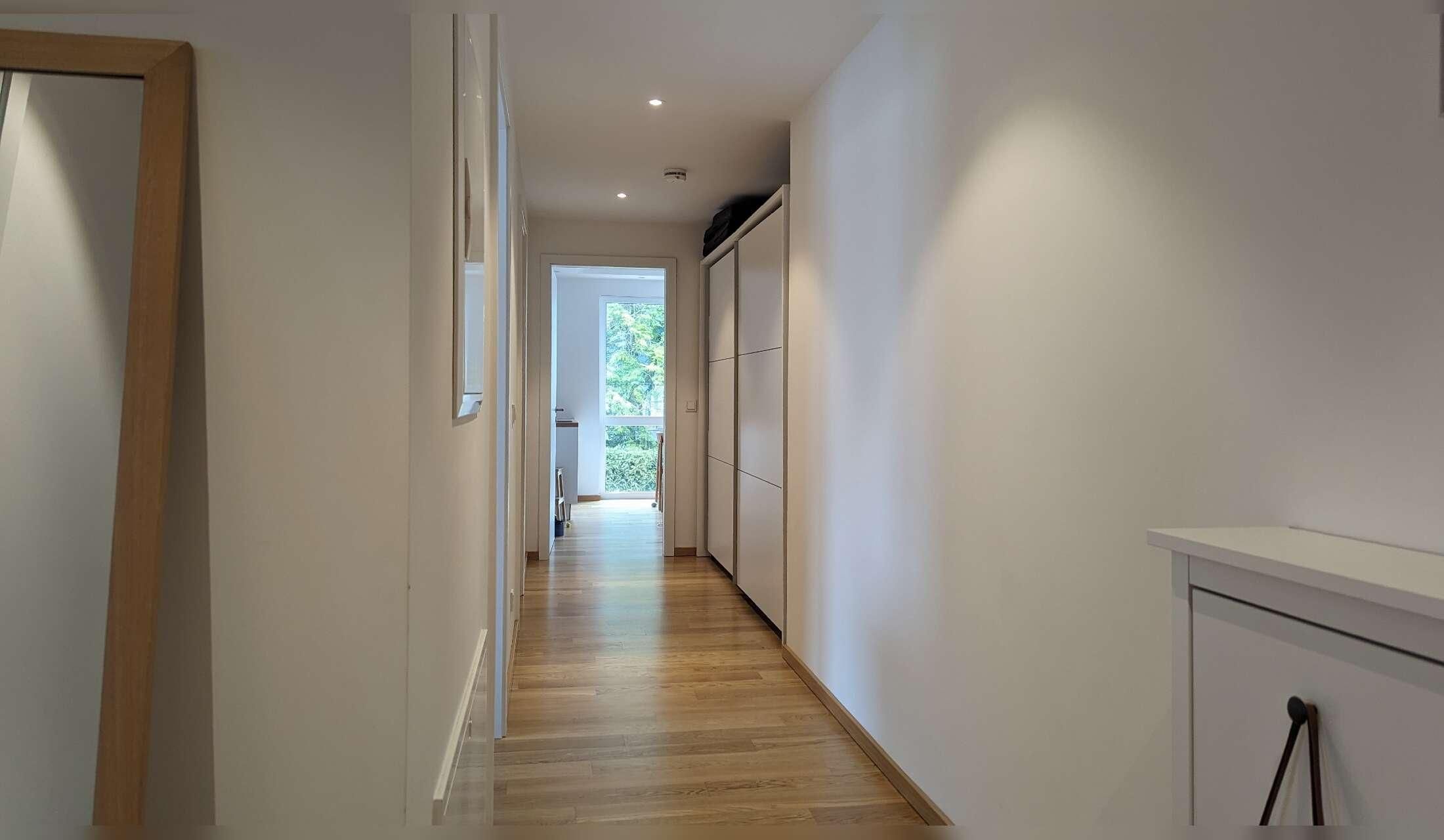 Looking for a cat sitter for 2 Sacred Birman cats near Munich - Image 3