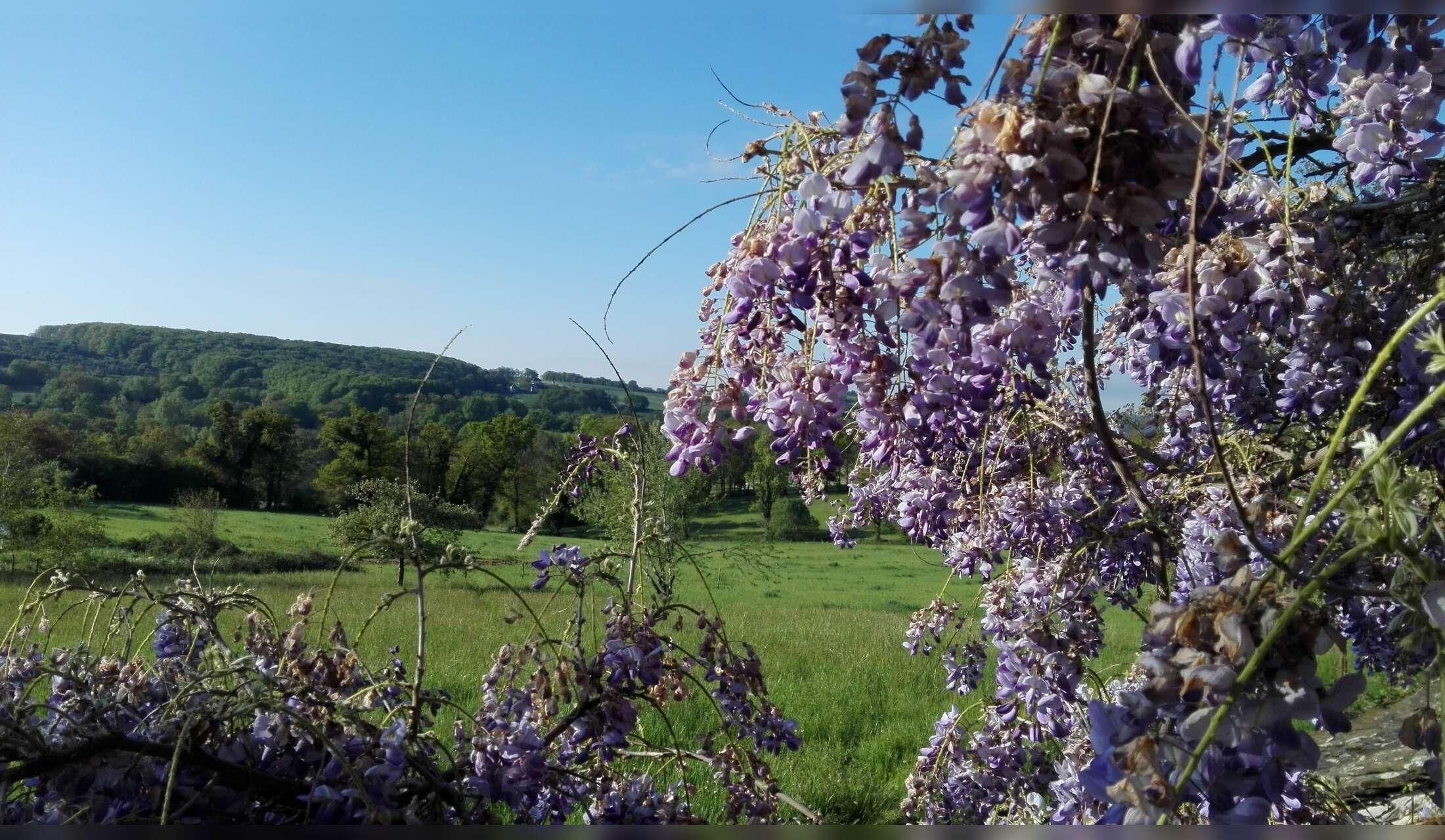 Farmhouse in Aveyron - Animal care - Garden maintenance - Image 6