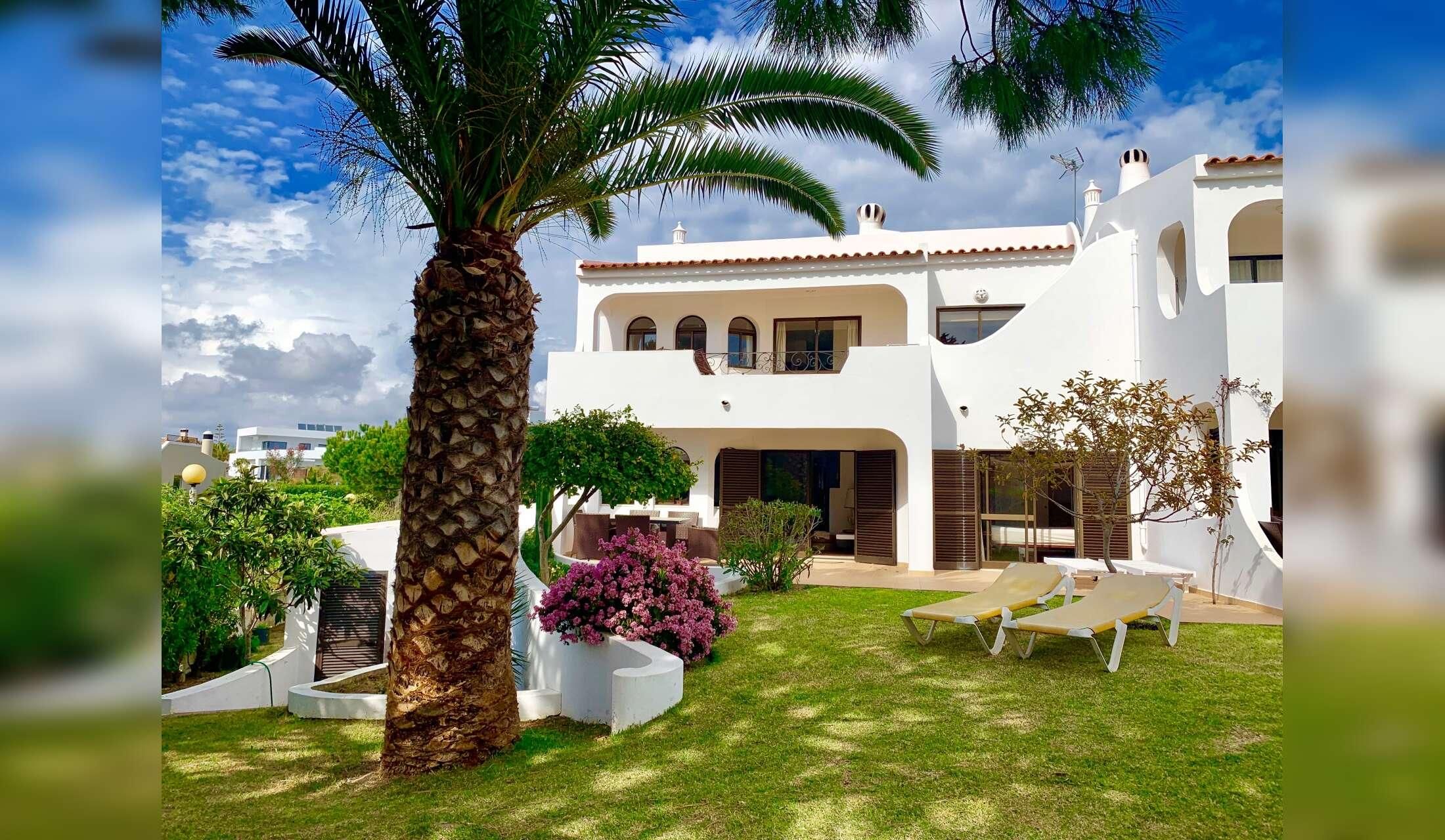 Algarve: Caring sitter for our lovely senior dog - Image 6