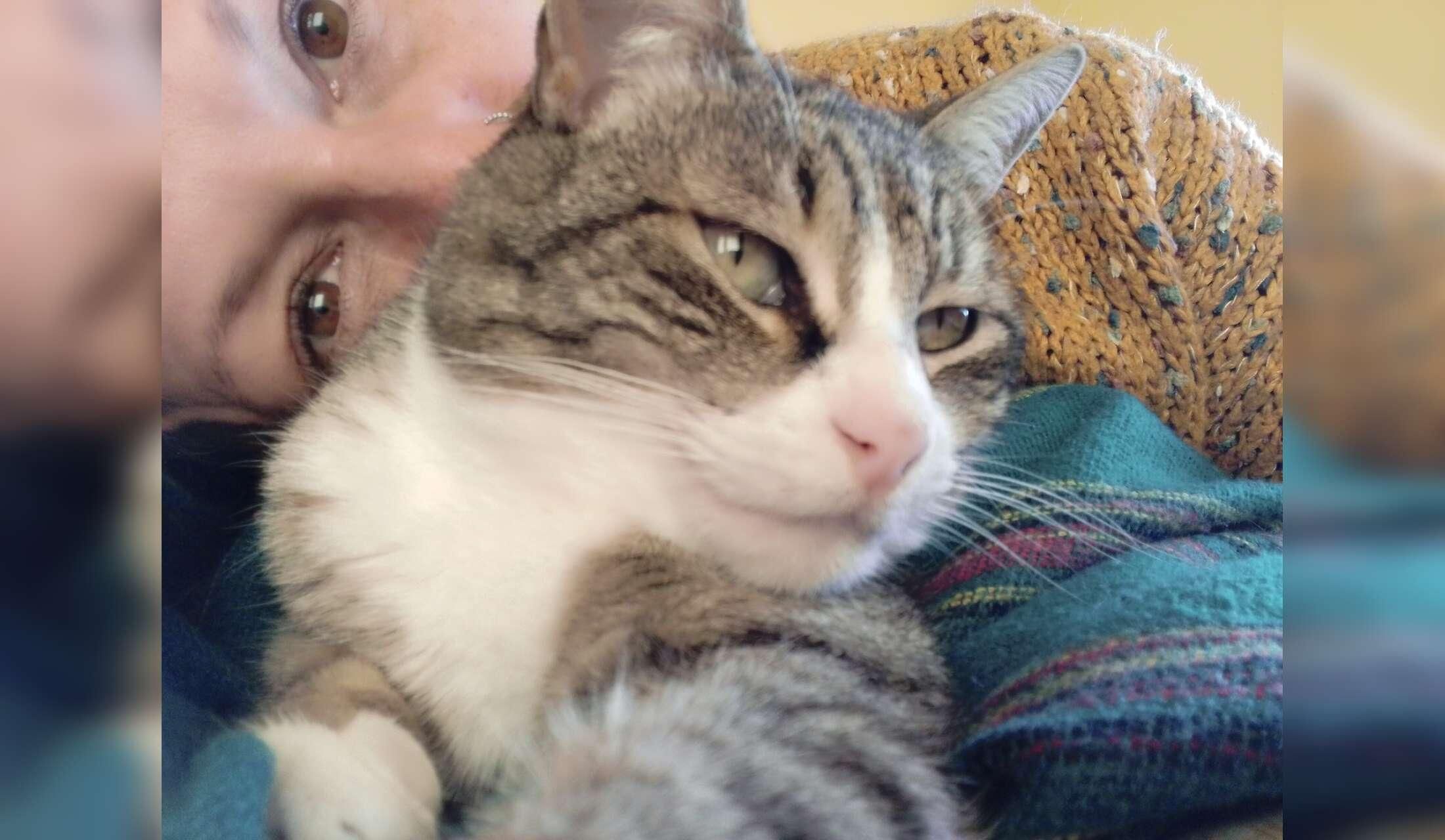 Looking after Herba, my cat, in the countryside of Asturias - Image 8