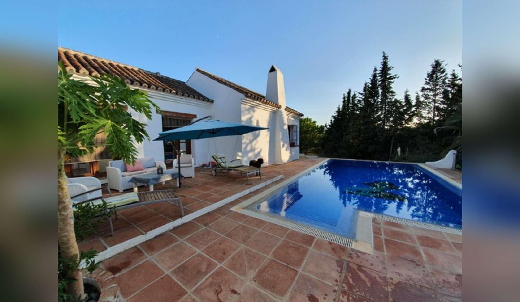 Finca in Andalucia offering pet sitting holidays - Image 7