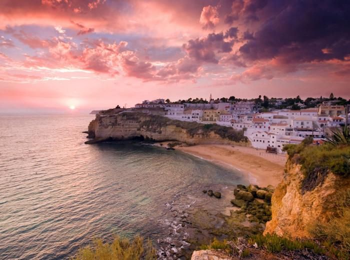 Algarve: Caring sitter for our lovely senior dog - Image 9