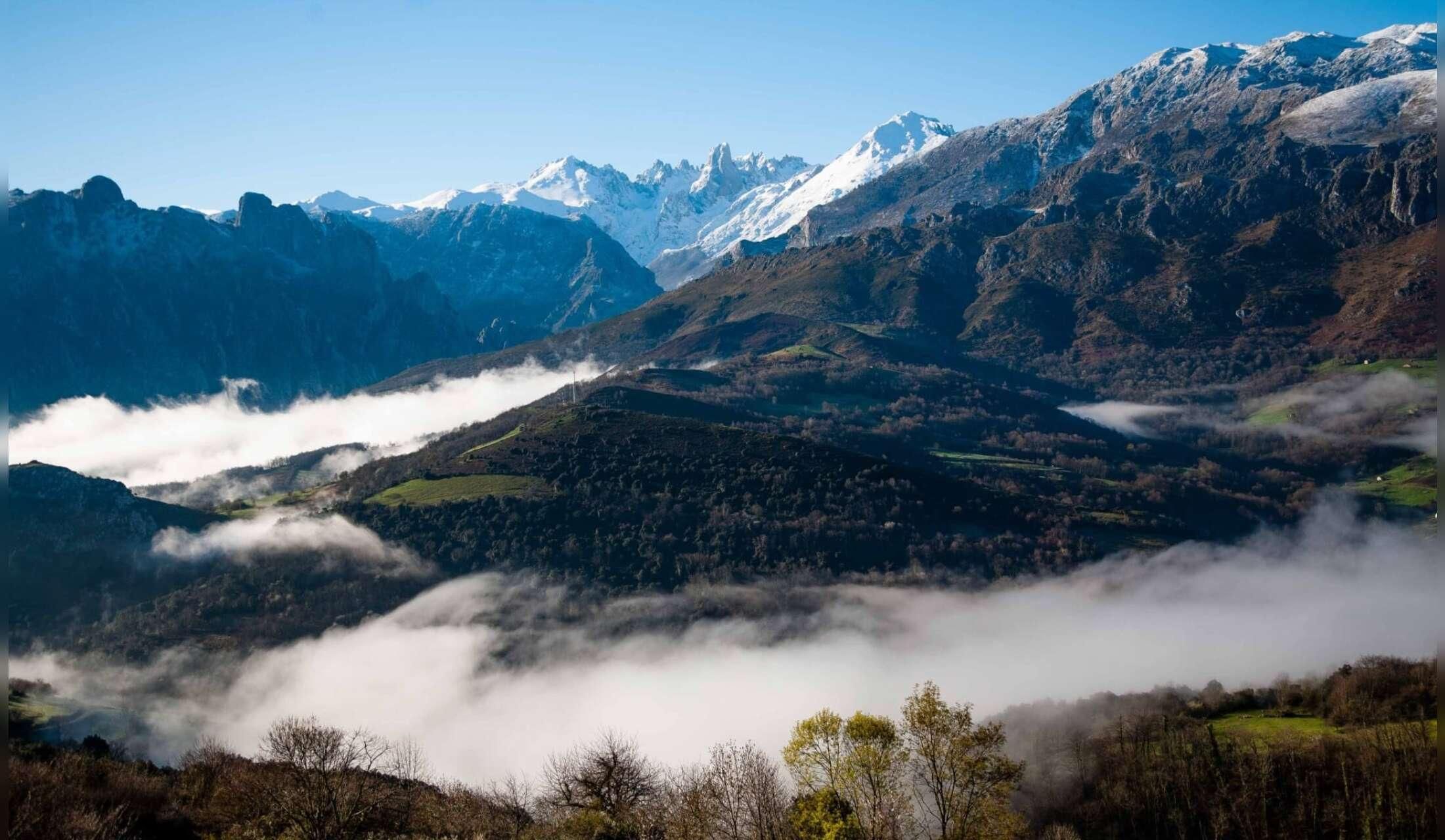 Keep our cat company in the stunning Picos de Europa mountains