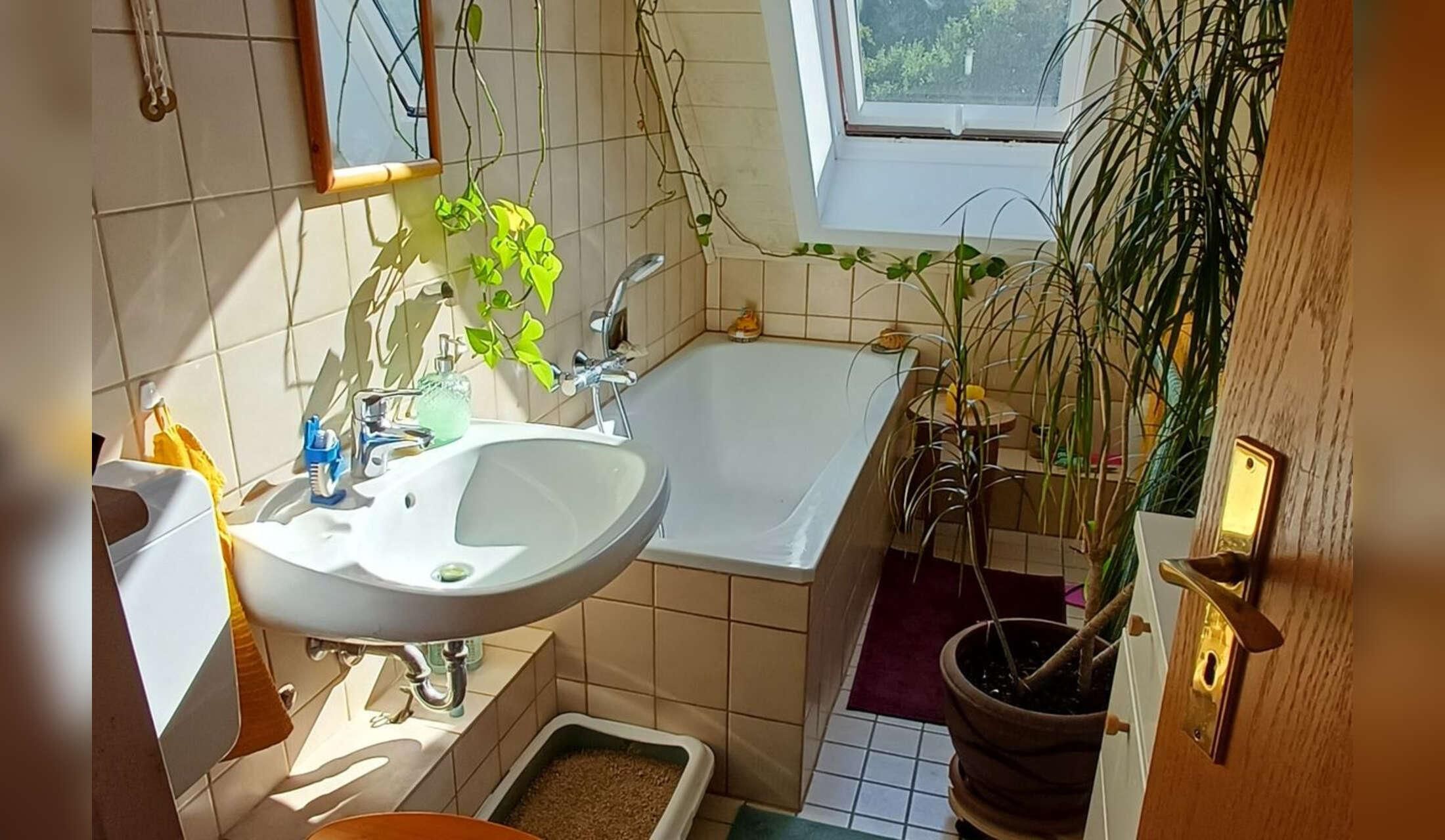 Three month in a small town in the middle of Germany - Image 6
