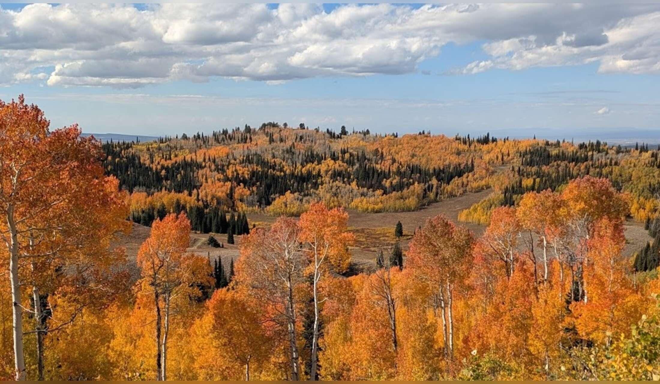 Autumn house sitting opportunity by Grand Teton National Park - Image 2