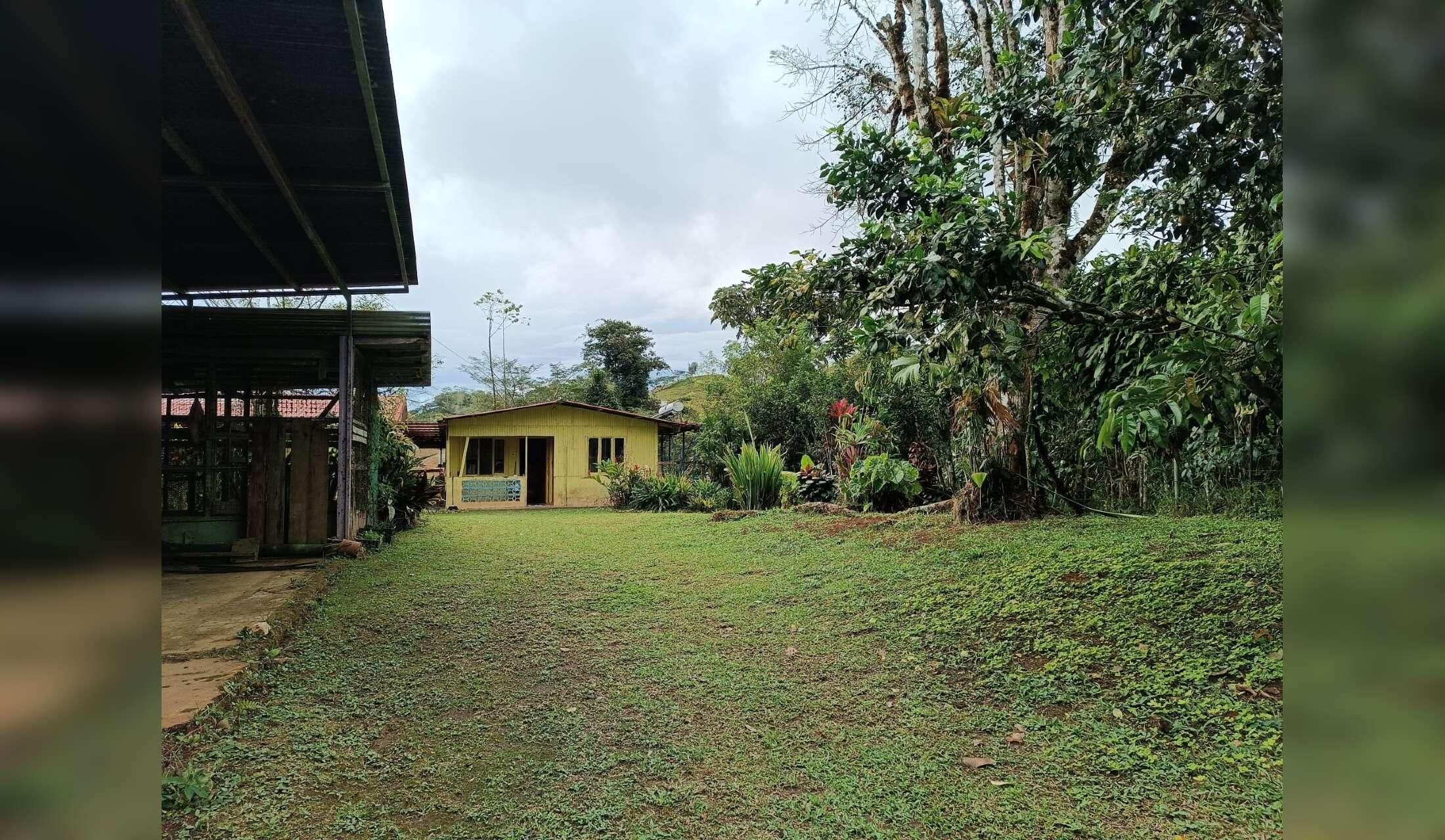 House and farm long term sitter - Image 6