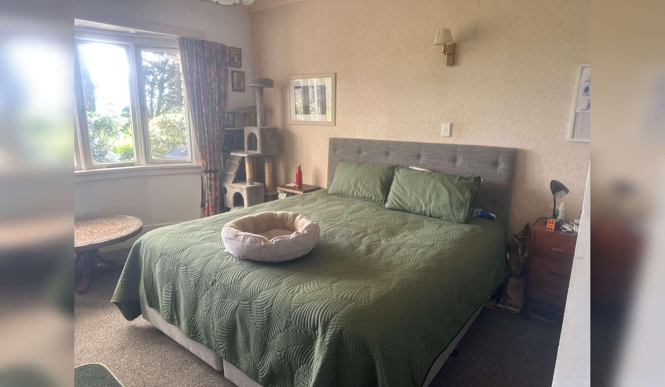 Sunningwood Homestead and garden Housesit - Image 8