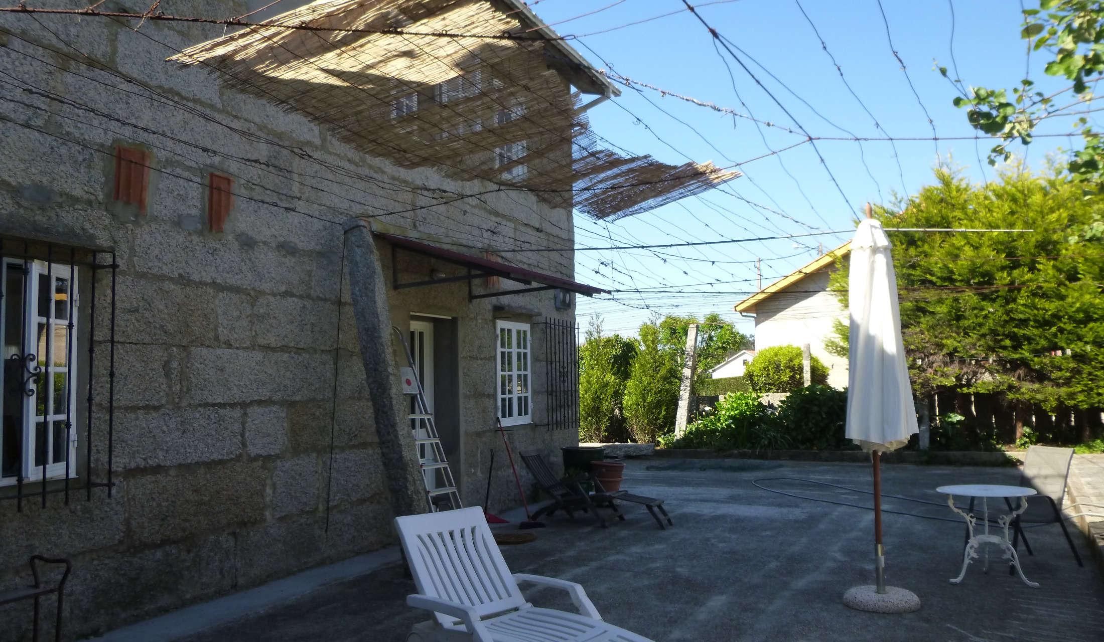 easy to care for cat in Galicia - Image 6