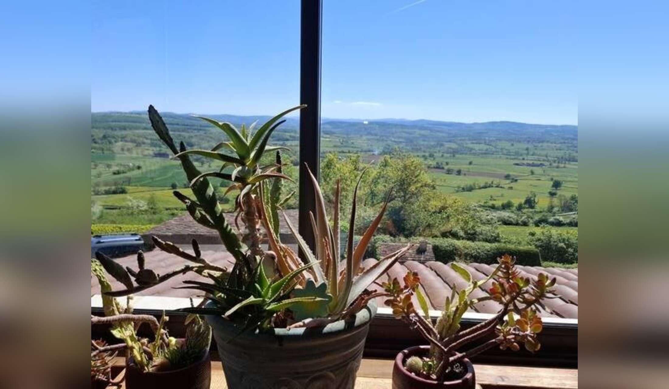 Medium to long term house sit large country house in Burgundy France - Image 2