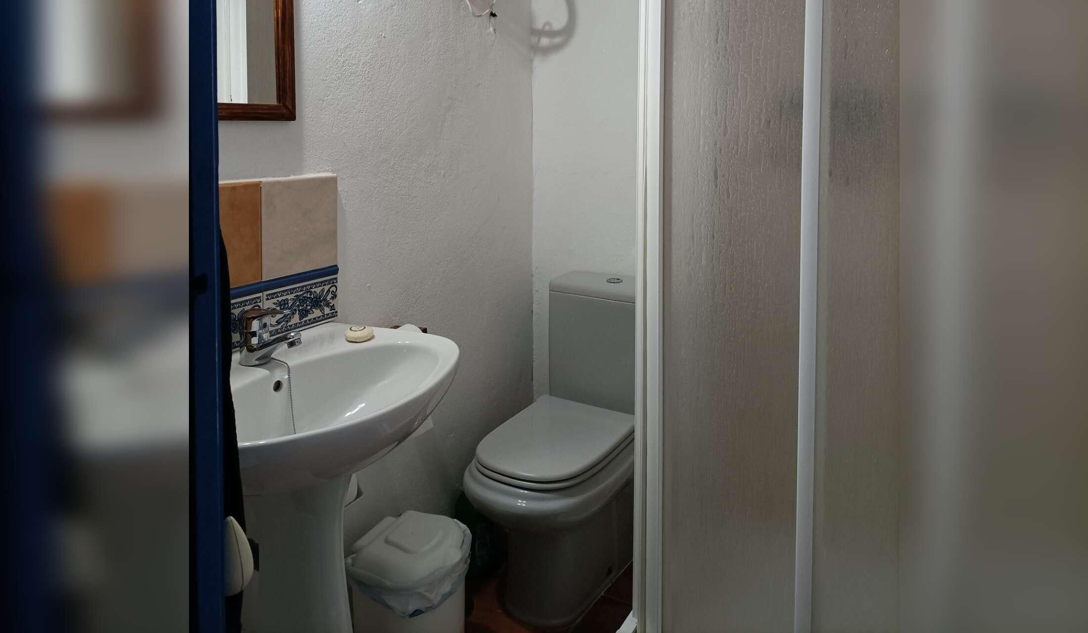 Looking for sitter to look after our country house for 3 months from early November 2026 - Image 2