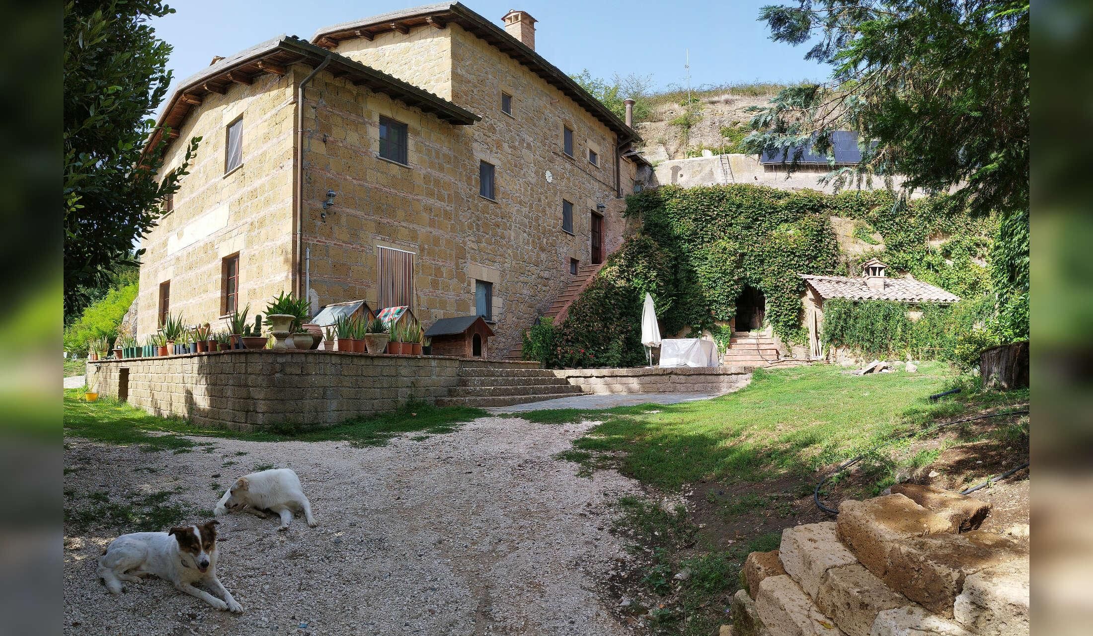 Peaceful winter in Tuscany with a lovely dog – off-grid country home