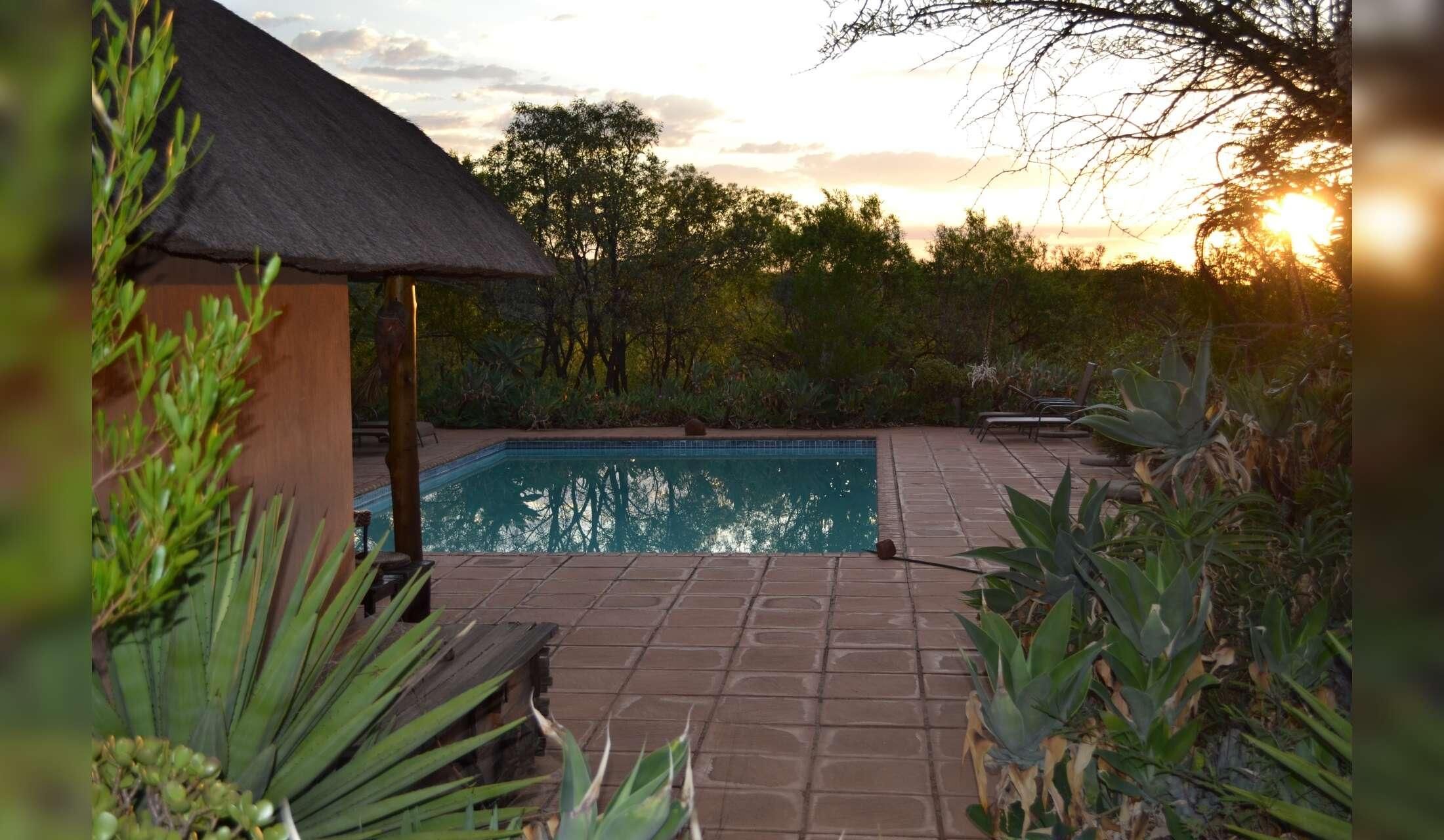 House sit in the african bush - Image 9