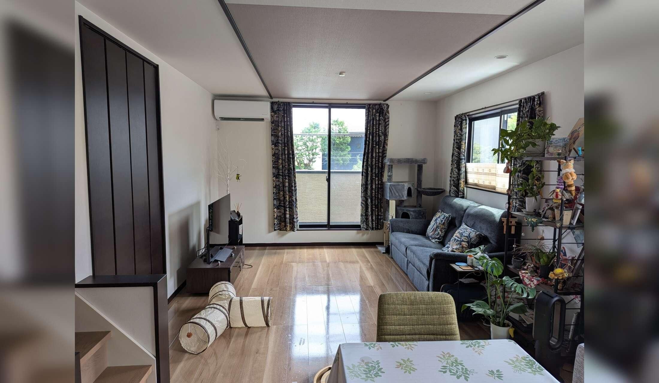 Quiet, calm sitter(s) needed for a scared but low-maintenance rescue cat near Tokyo - Image 2