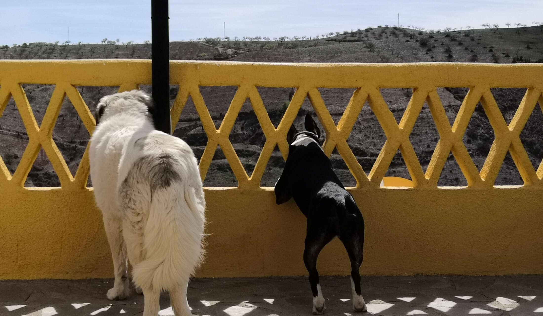 Cortijo in the Alpujarra Mountains /Andalucia Spain - Image 3