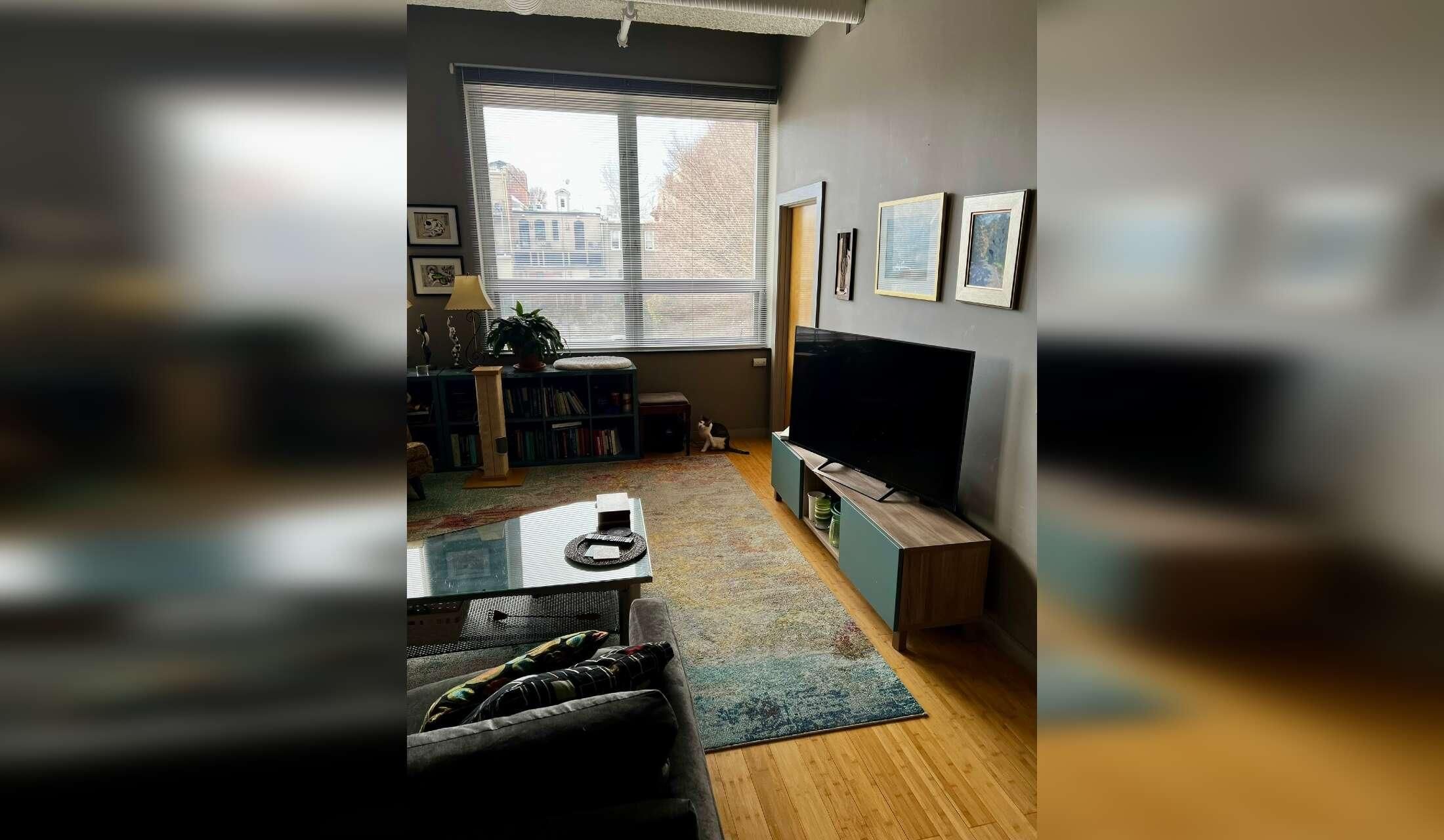 Beautiful Condo in Downtown Asheville, NC - Image 4