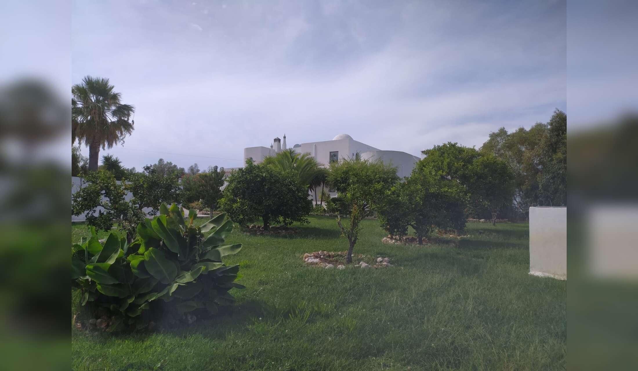 Cottage with dog - Image 3