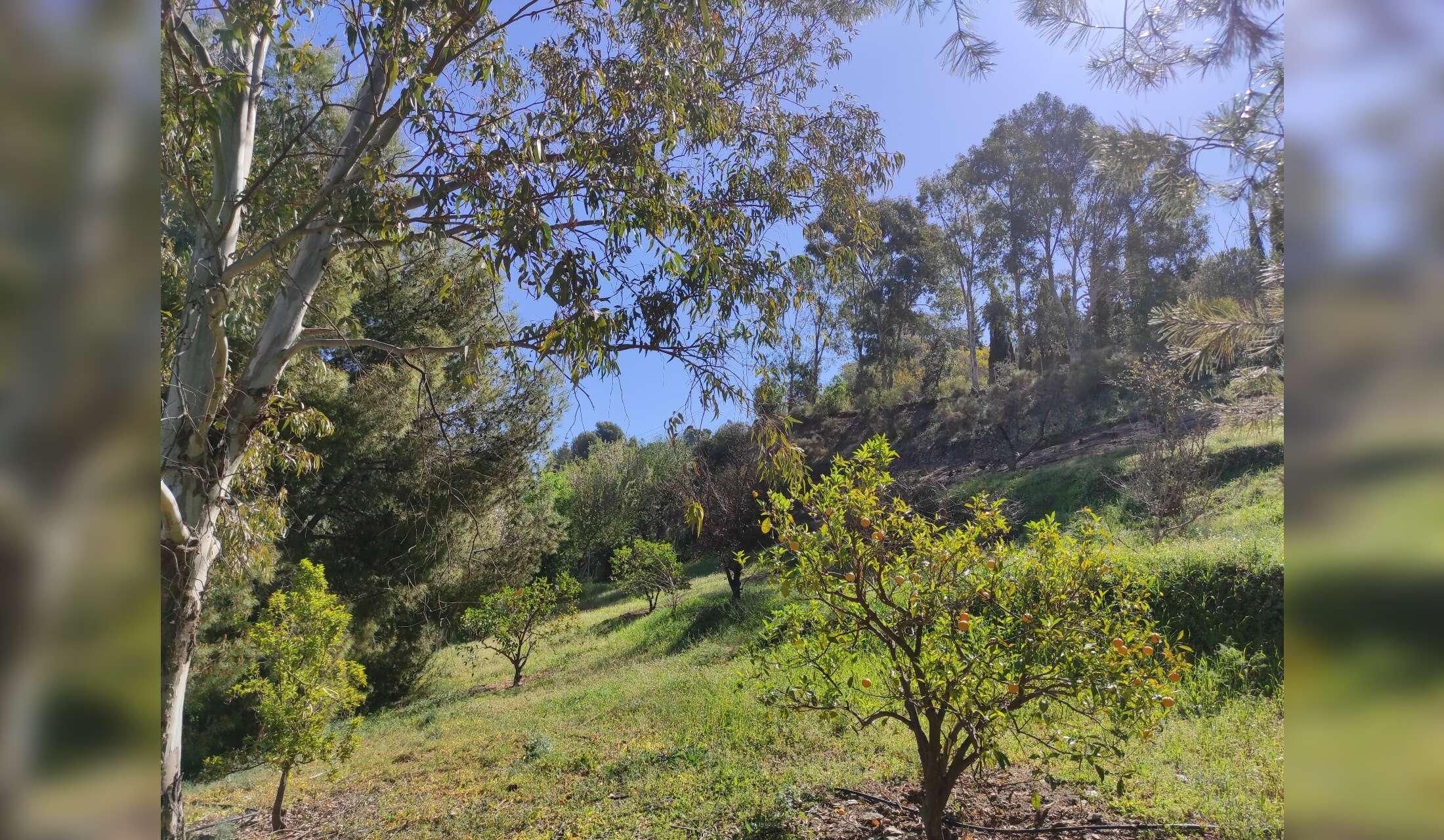 Private hillside 2 acre house 20 minutes from the sea and Tejeda National Park in southern Spain