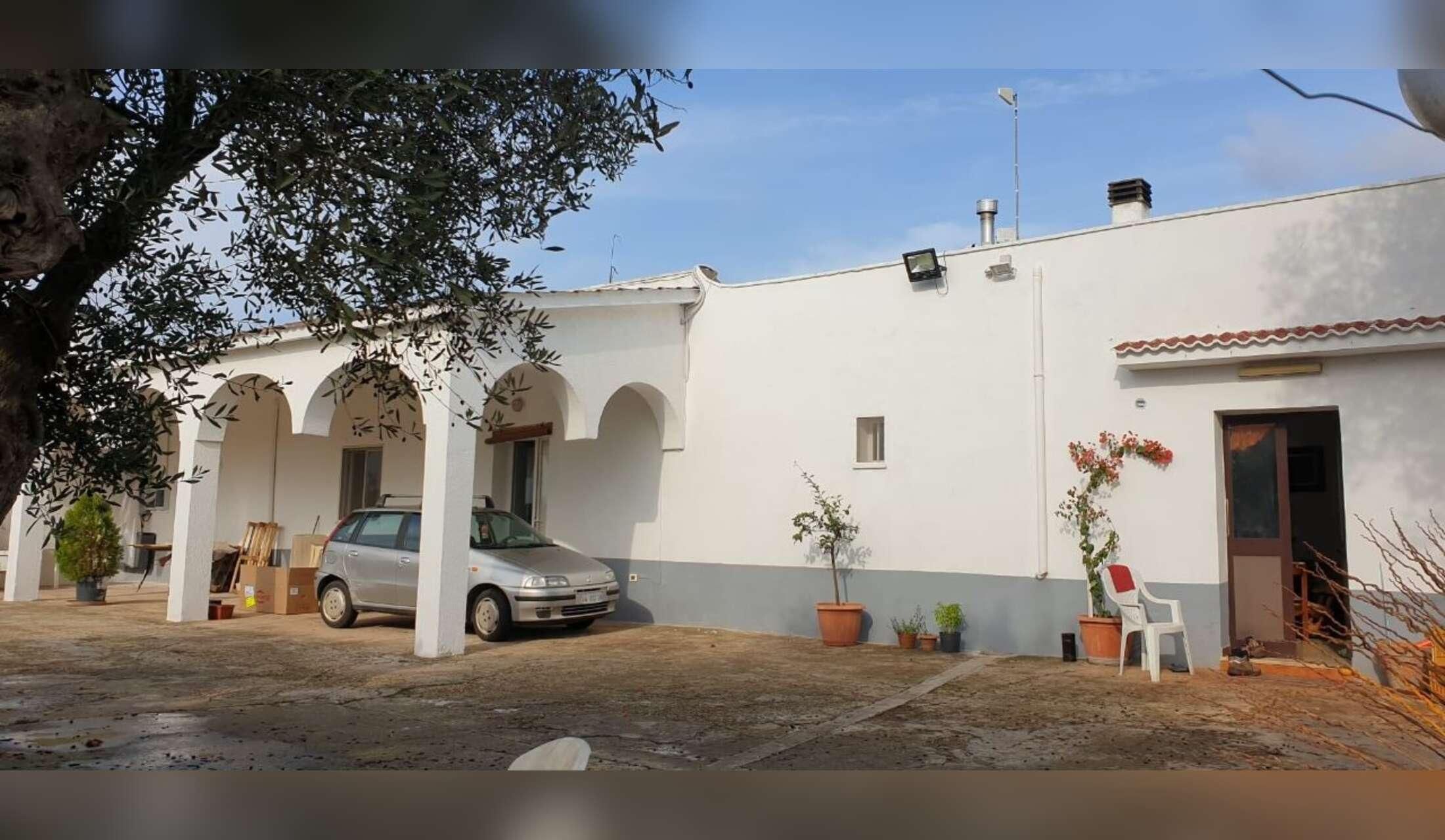 Countryside house (+ two cats) in Valle d'Itria, Puglia - Image 9