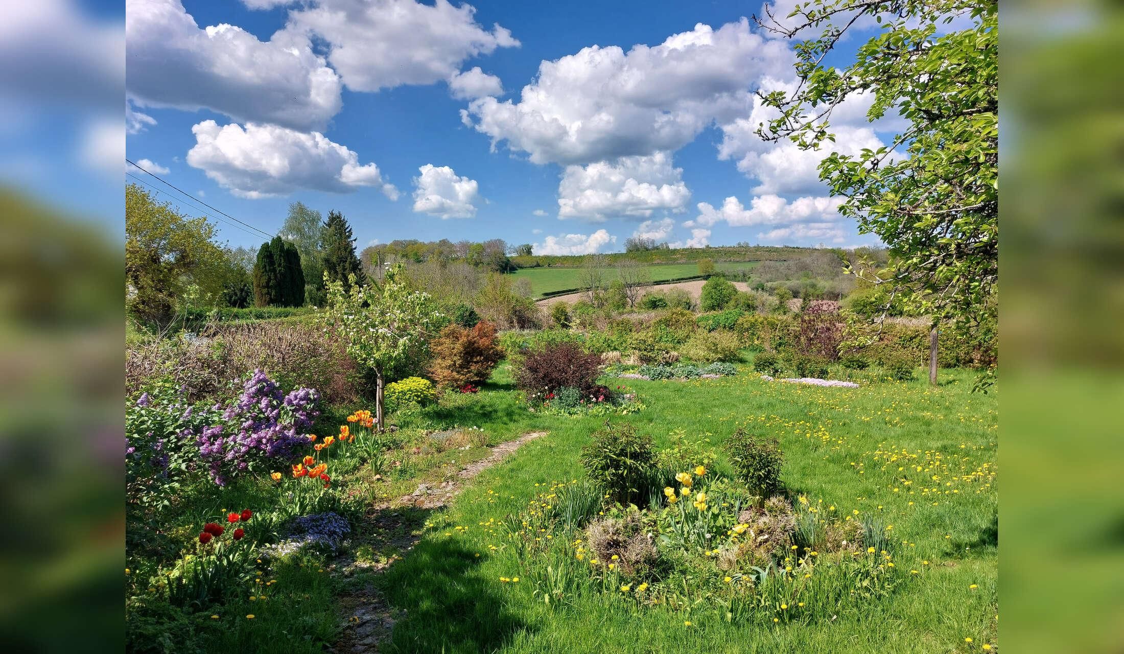 Spend three months in the Burgundy countryside