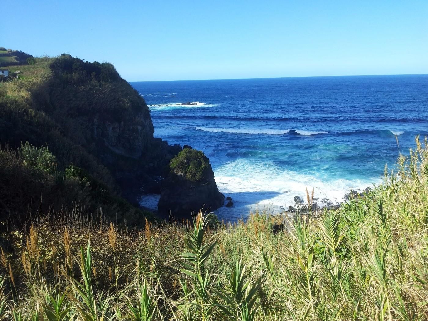 Dog Sitting 28th October - 19th November 2026 in the Azores (São Miguel Island)