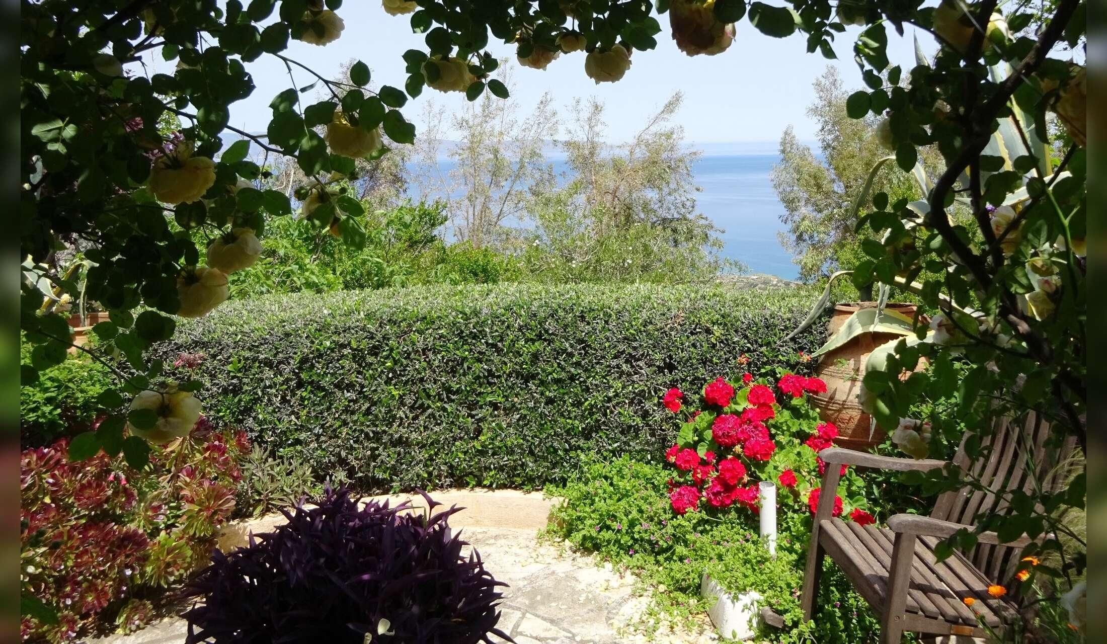 A tiny village house in North Eastern Crete with 2 cats and a garden with fish in a lily pond - Image 8