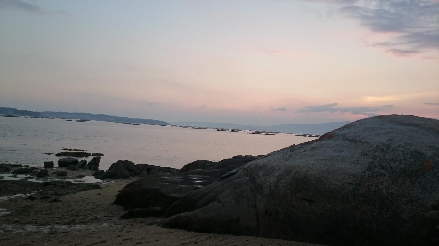 easy to care for cat in Galicia - Image 7