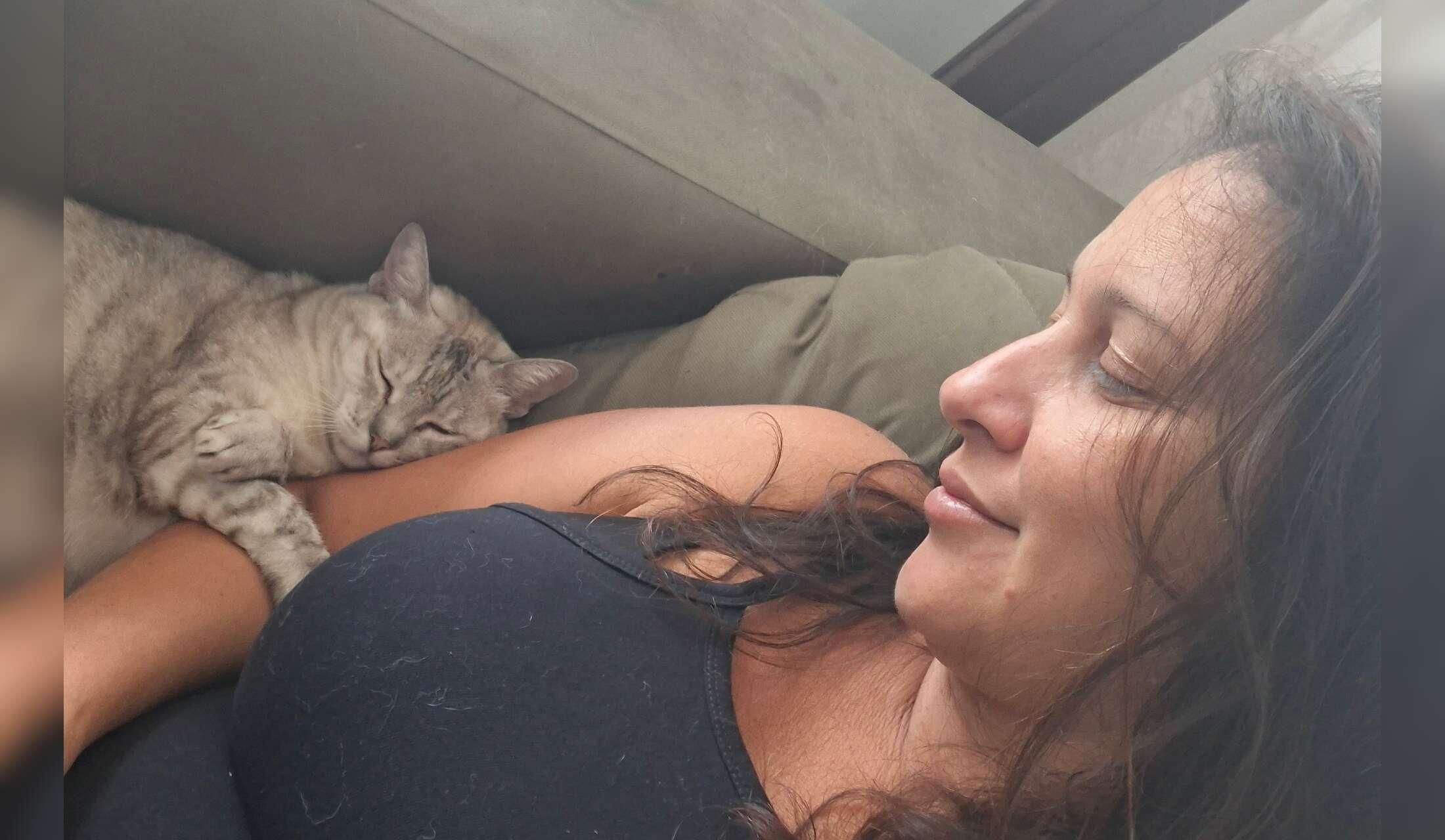 Devoted cat family sitter. Your kitty's best friend while you're away - Image 6