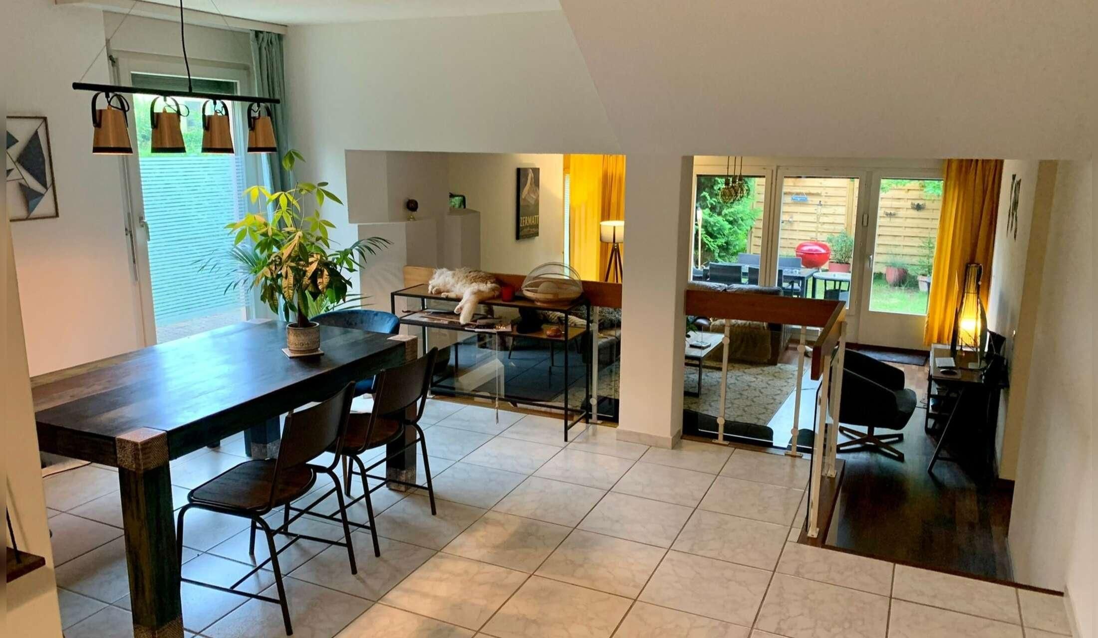 Cat sitter/home sitter needed from 4 to 18 October, near Zurich, Switzerland - Image 6