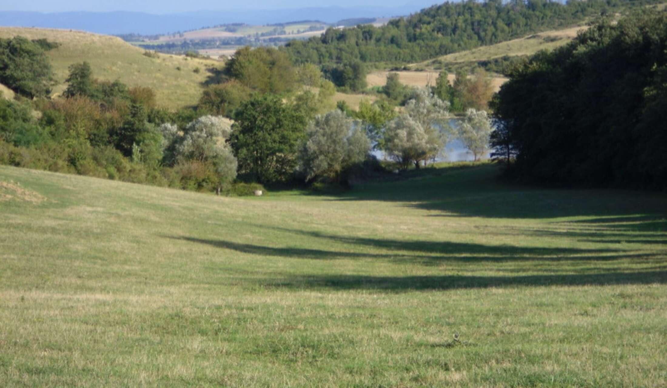French farmhouse needs long-term outdoorsy ,cheerful and active house sitting couple - Image 6