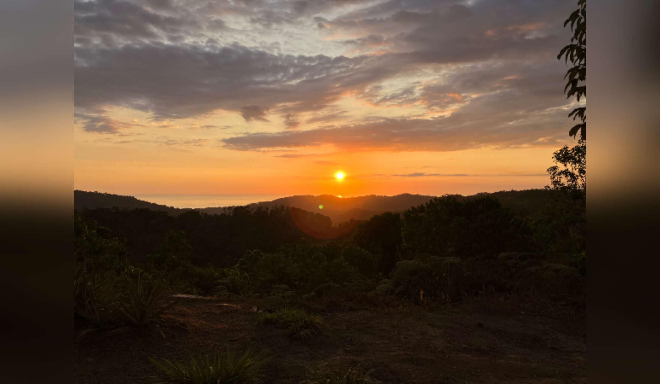 Tropical Paradise with Private Waterfall & Infinity Pool ? Dog Lovers Wanted! ?? - Image 7