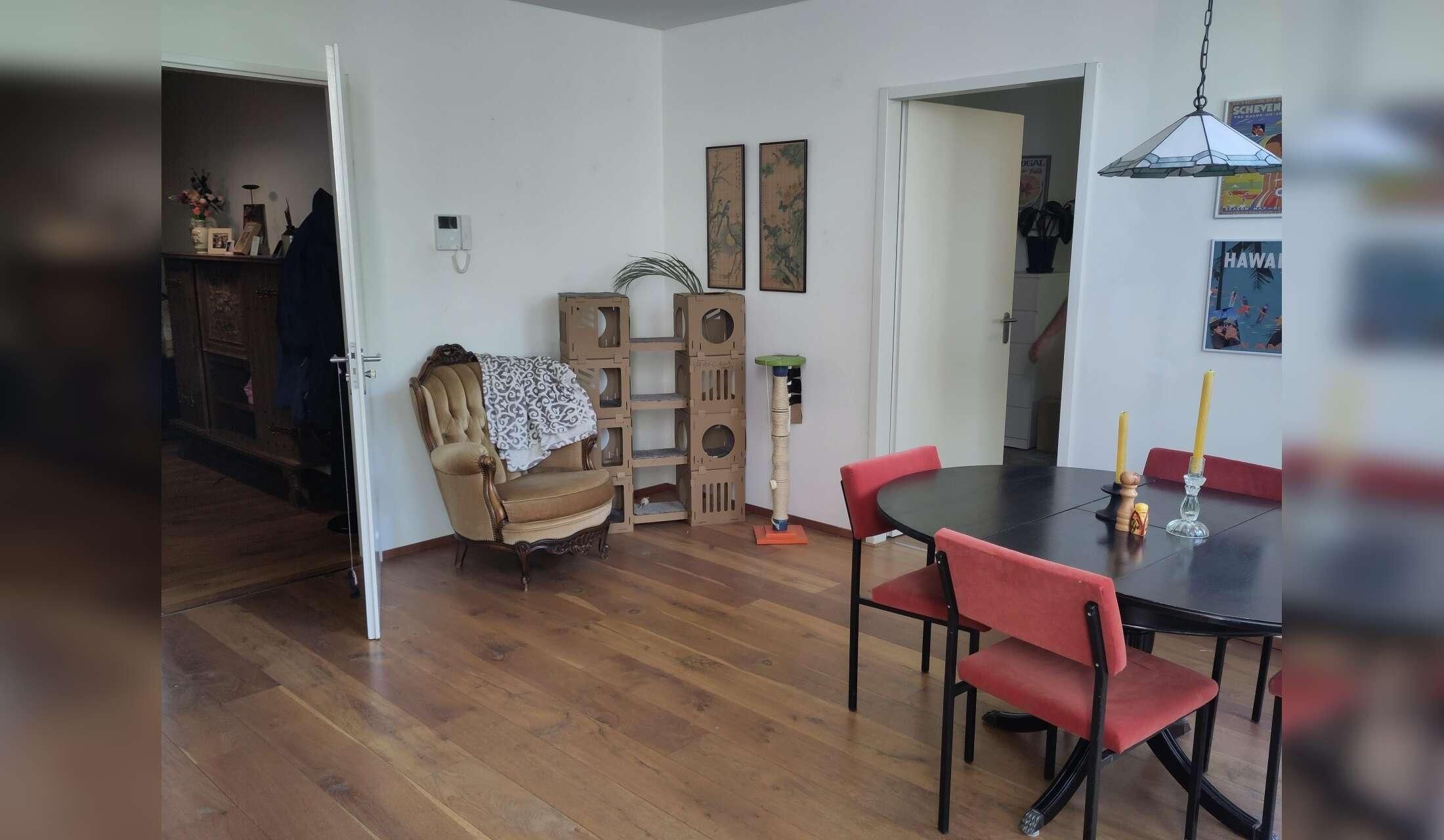 Cat/housesitting in Amsterdam Noord - Image 5
