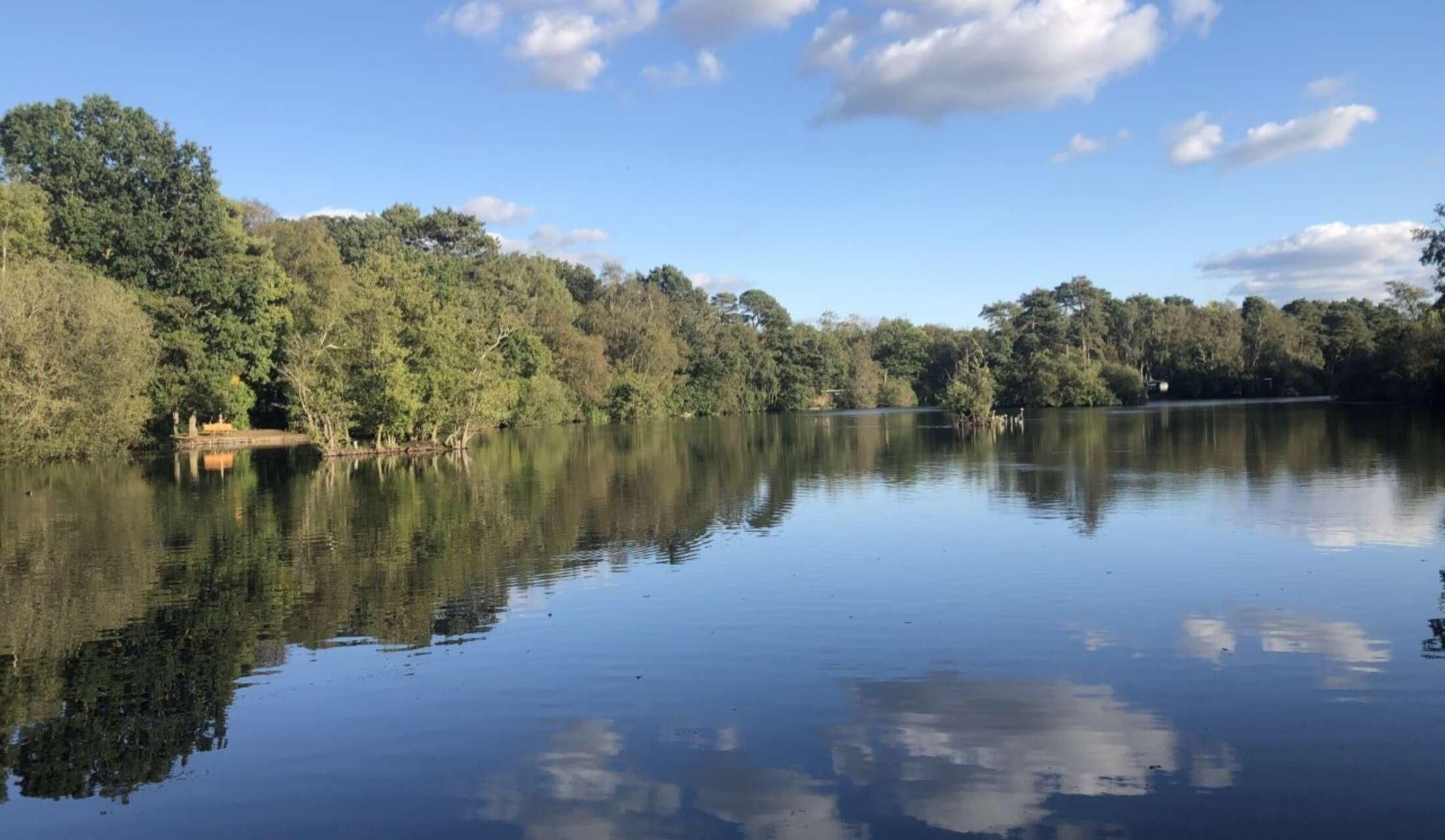 Wokingham, Berkshire House/pet sitters needed from Sept 19 2026 to 4 Oct 2026 - Image 4